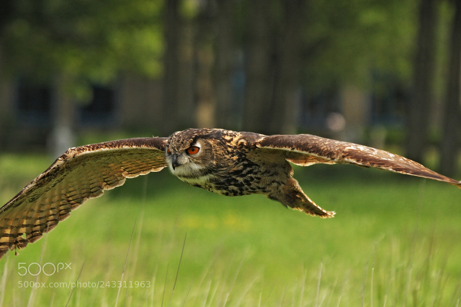 Canon EOS 40D sample photo. Toerke doen photography