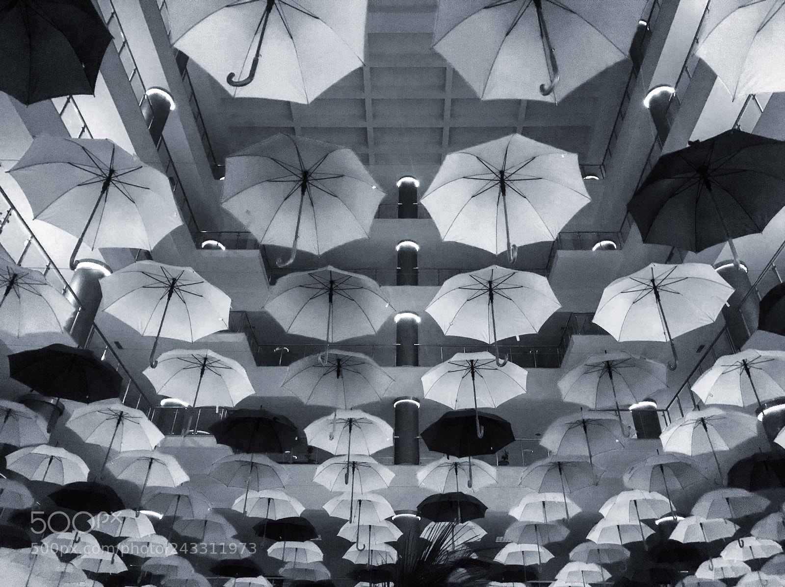 Apple iPhone 7 sample photo. Umbrellas photography