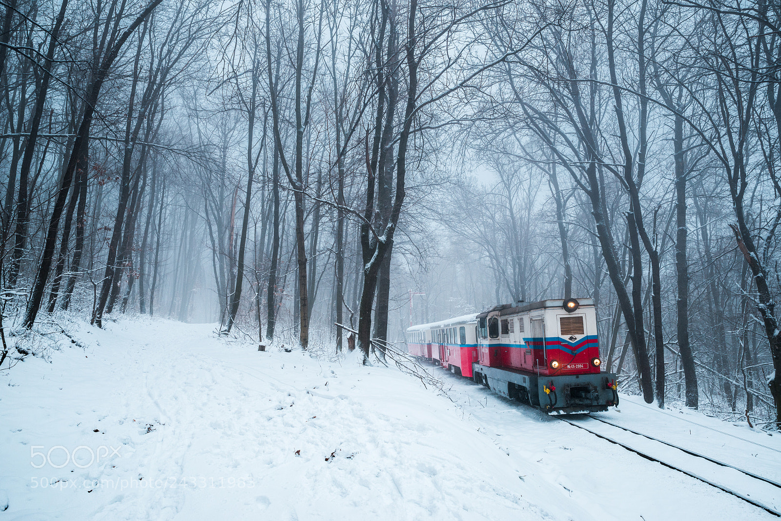 Nikon D800 sample photo. Winterland photography