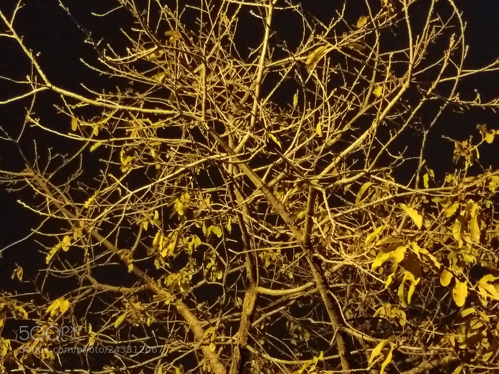 Samsung Galaxy S7 sample photo. Ltc photography