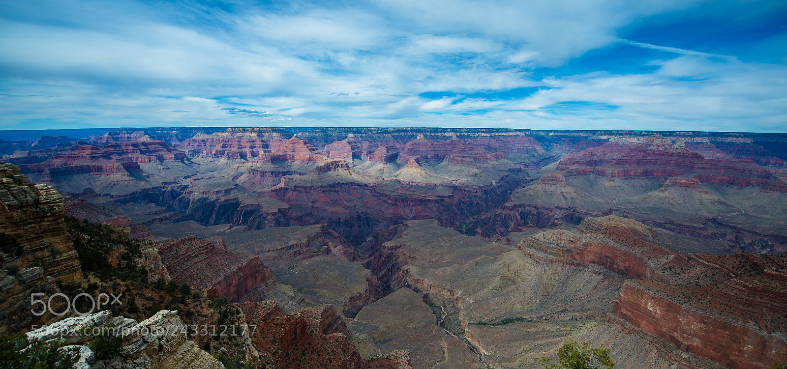 Nikon D4 sample photo. Grand canyon - visitor photography