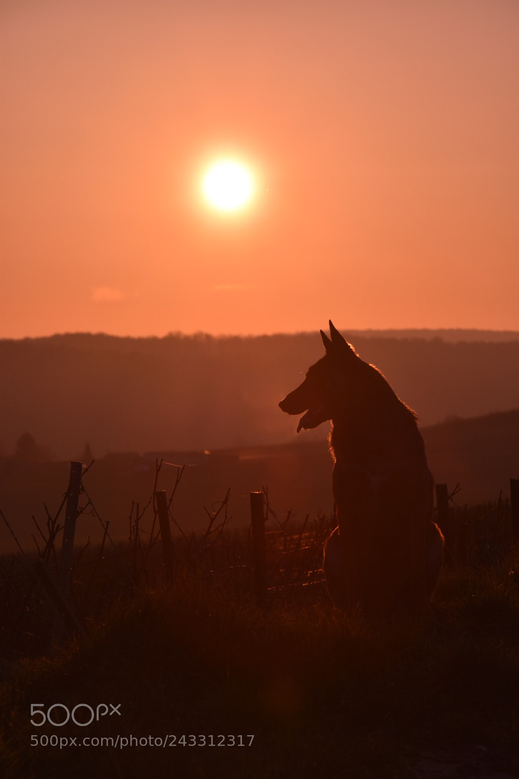 Nikon D3400 sample photo. Sunset photography