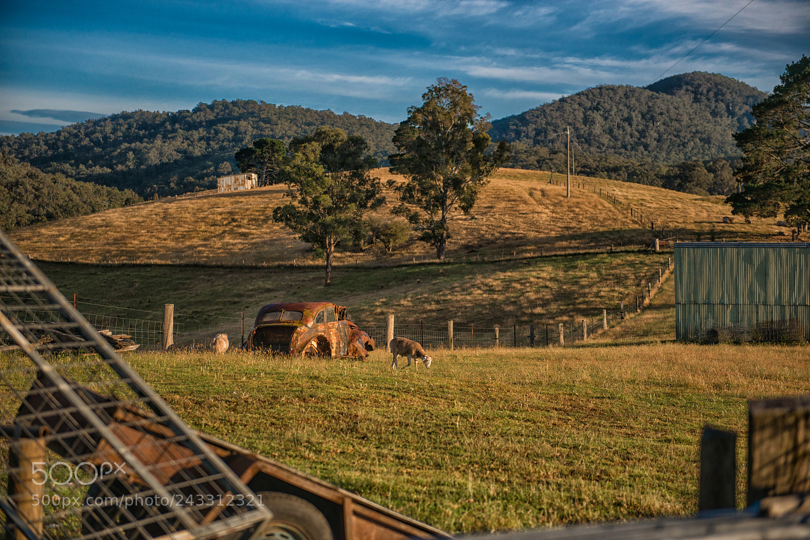 Nikon D800 sample photo. Farm in australia photography