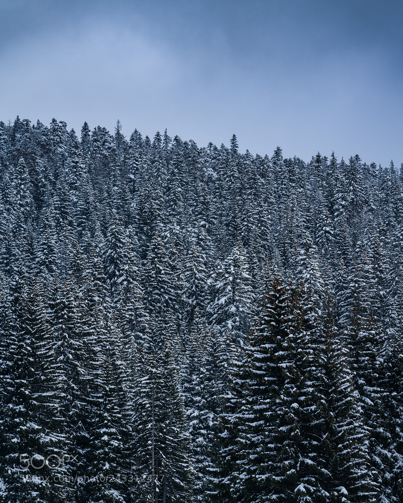 Sony a7R III sample photo. Snowy times photography