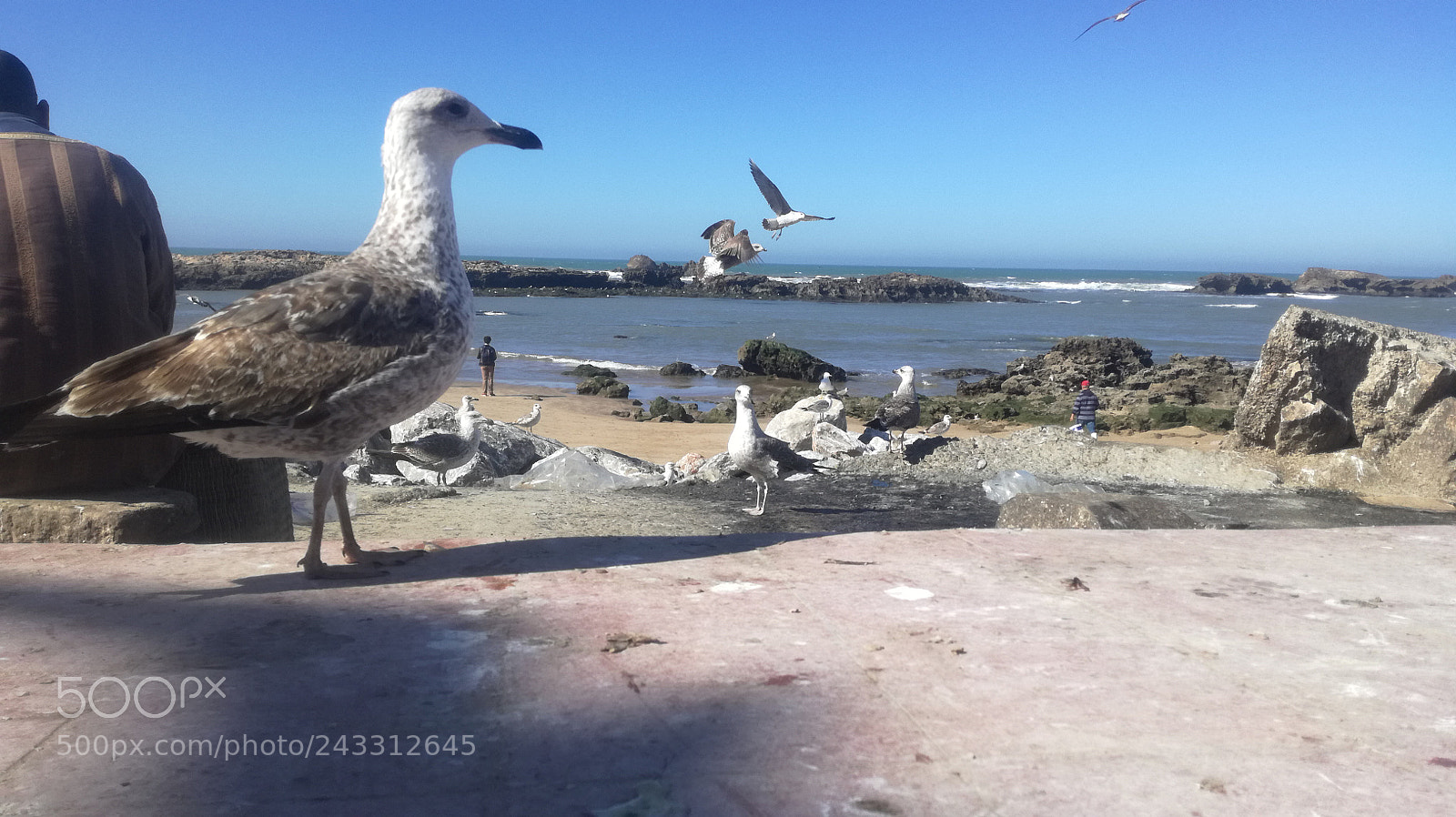 HUAWEI P9 LITE sample photo. Untitled photography