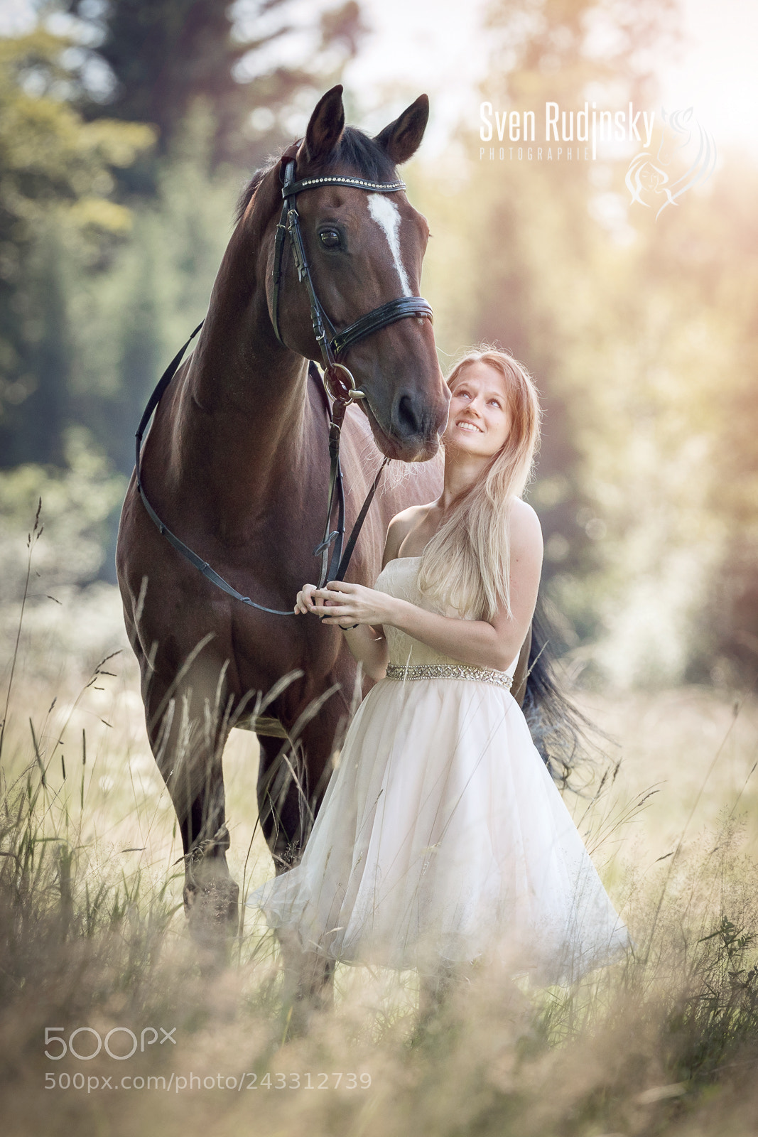 Sony a9 sample photo. Horse photoshoot photography