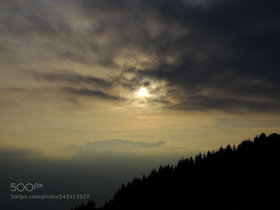 Sony Cyber-shot DSC-HX400V sample photo. Neverland photography
