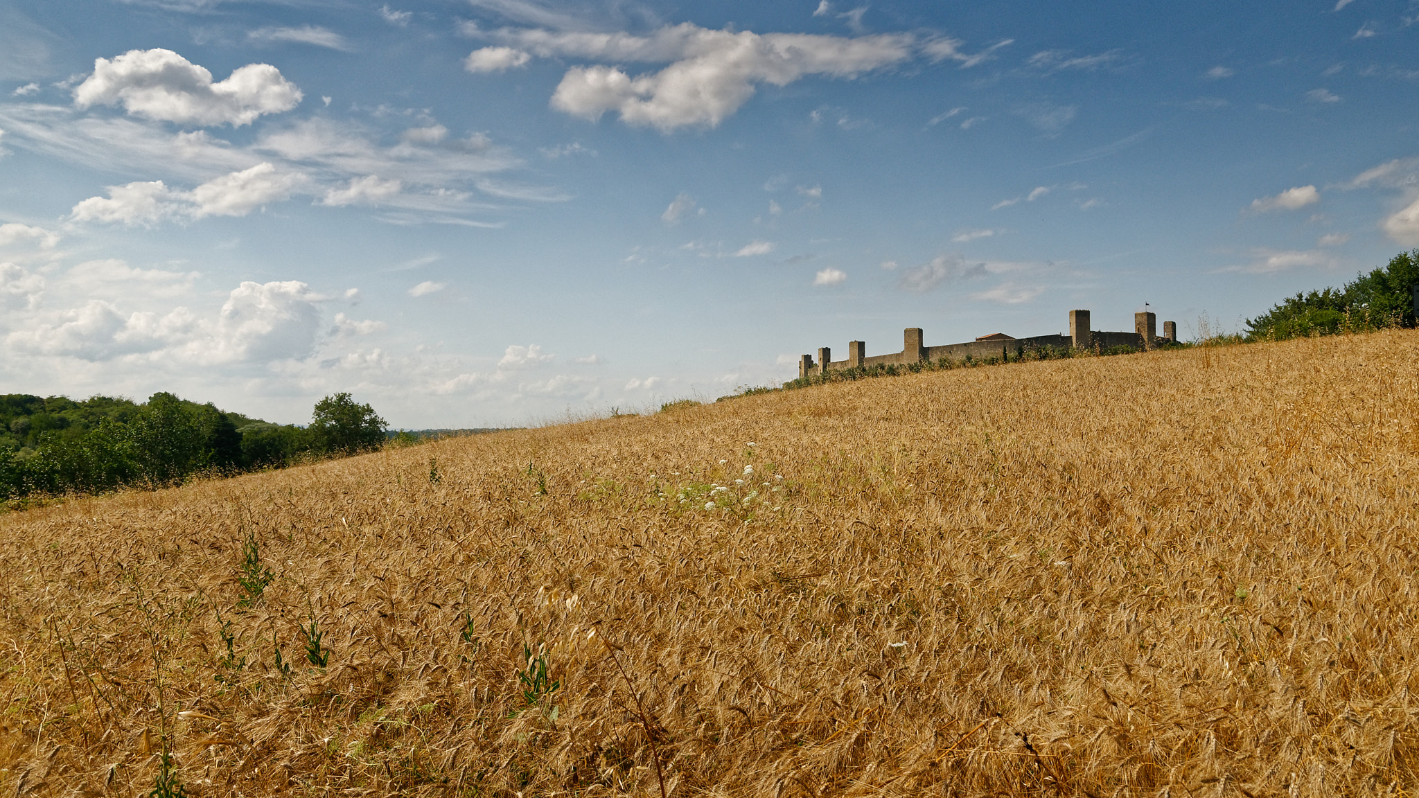 Nikon D300S sample photo. Monteriggioni photography
