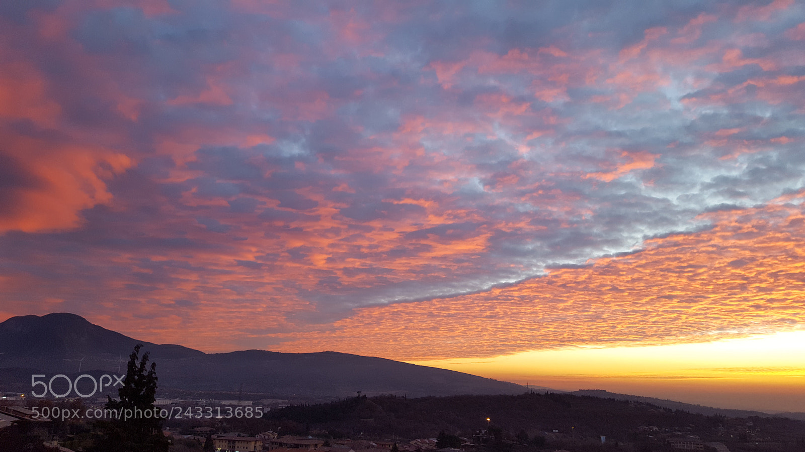 Samsung GALAXY S6 edge sample photo. Mattino infuocato photography