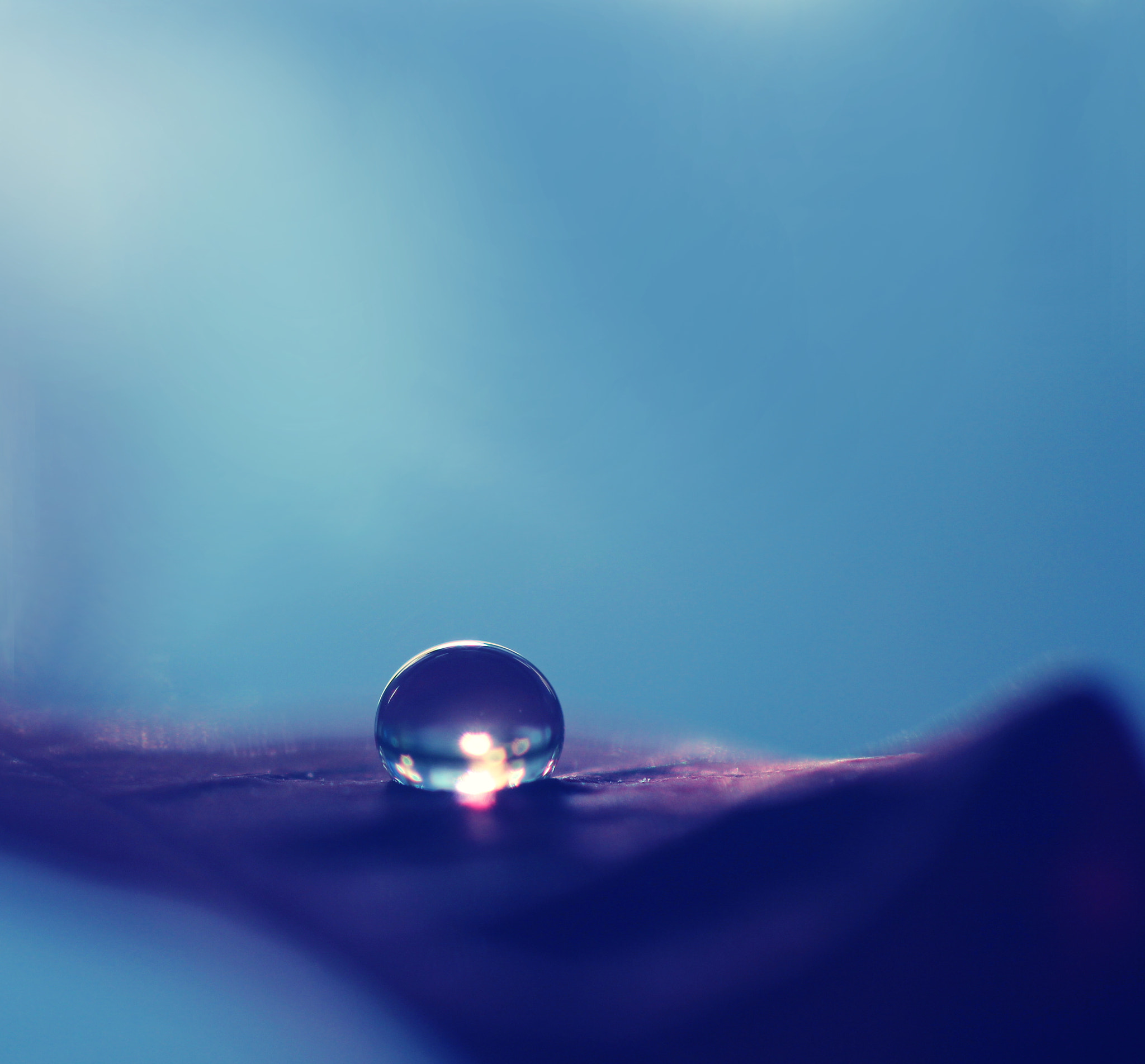 Canon EF 100mm F2.8 Macro USM sample photo. Soundless photography