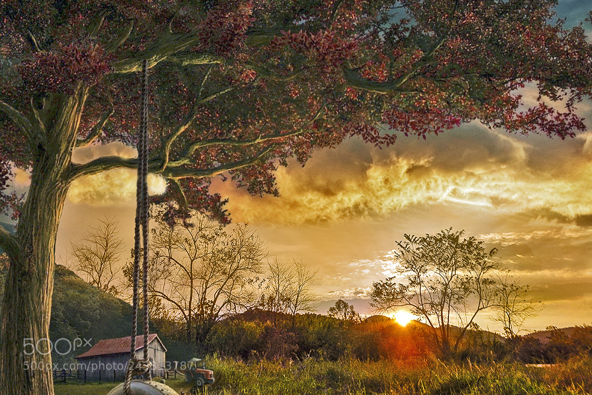 Sony Cyber-shot DSC-HX300 sample photo. The last rays photography