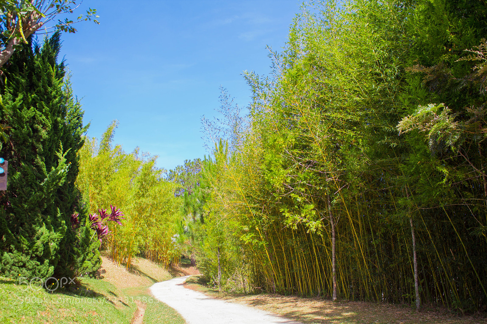 Canon EOS 60D sample photo. Img photography