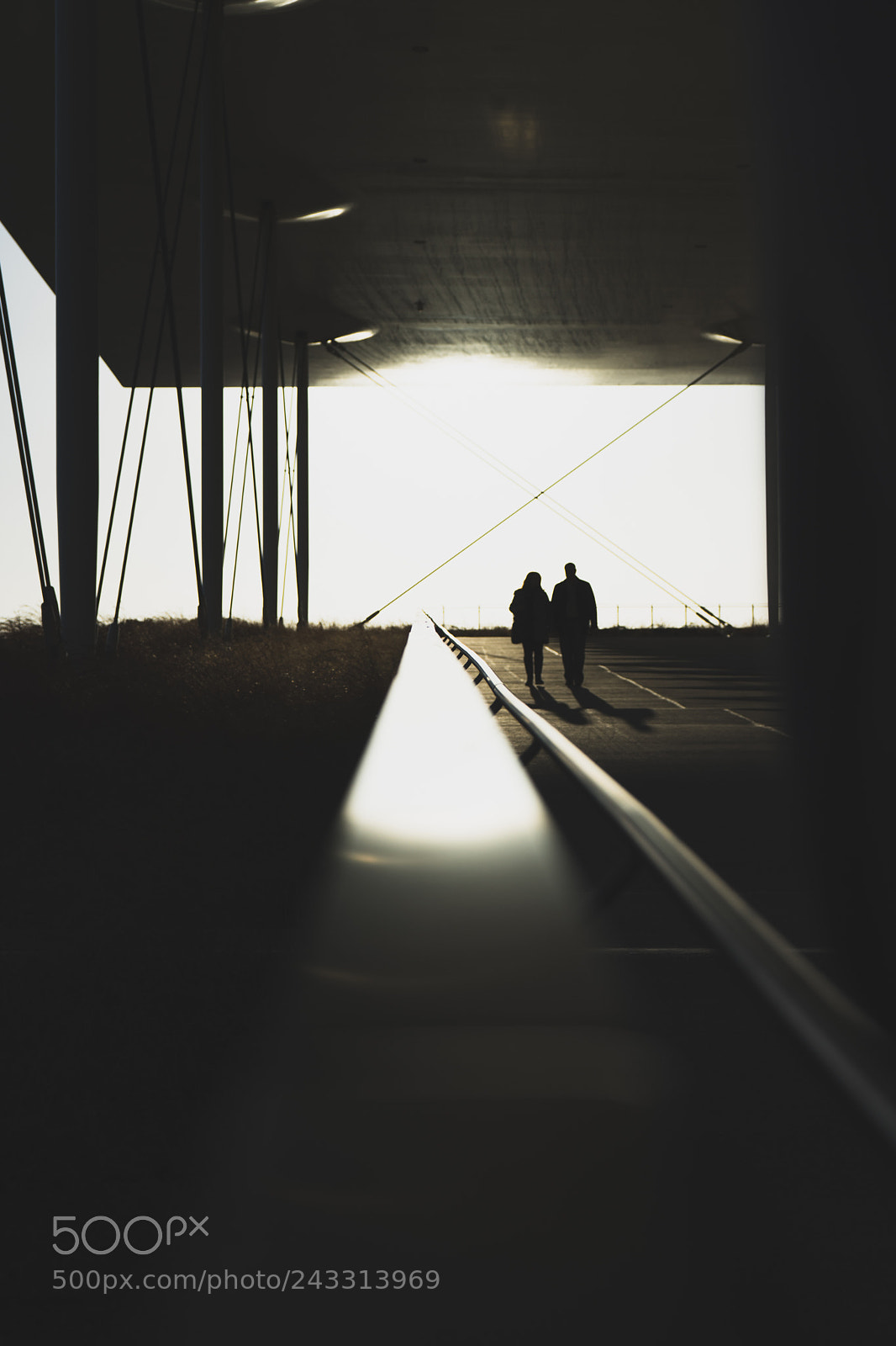 Sony a7 II sample photo. Sunlight photography
