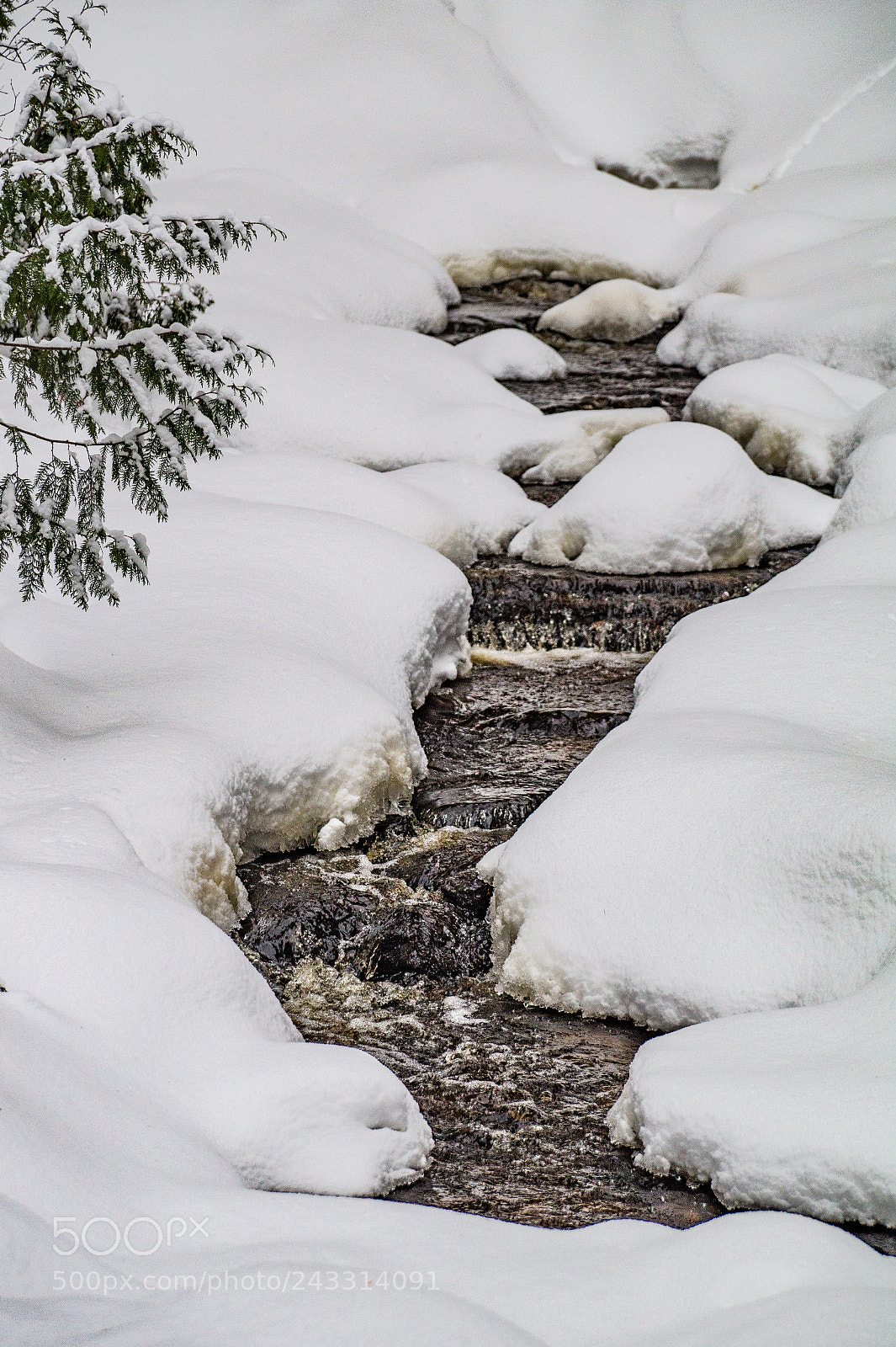 Sony SLT-A58 sample photo. * snowy creek * photography