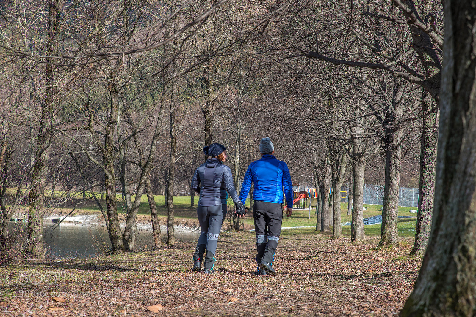 Nikon D800E sample photo. Untitled photography
