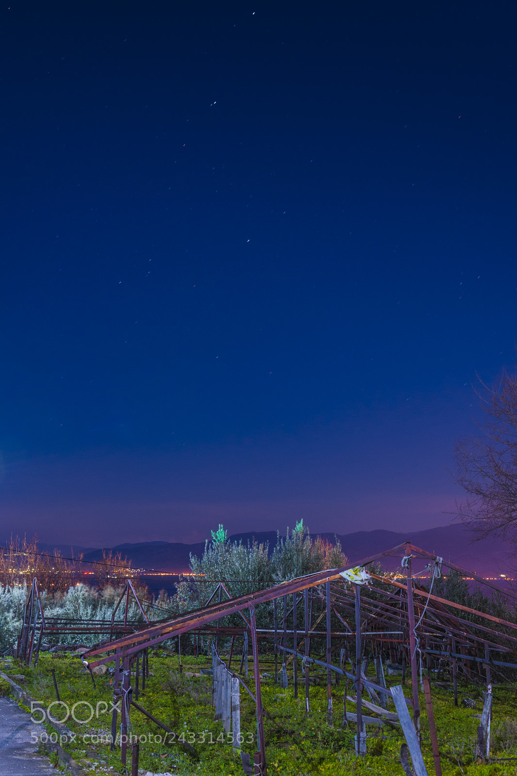 Nikon D700 sample photo. Common night at village photography