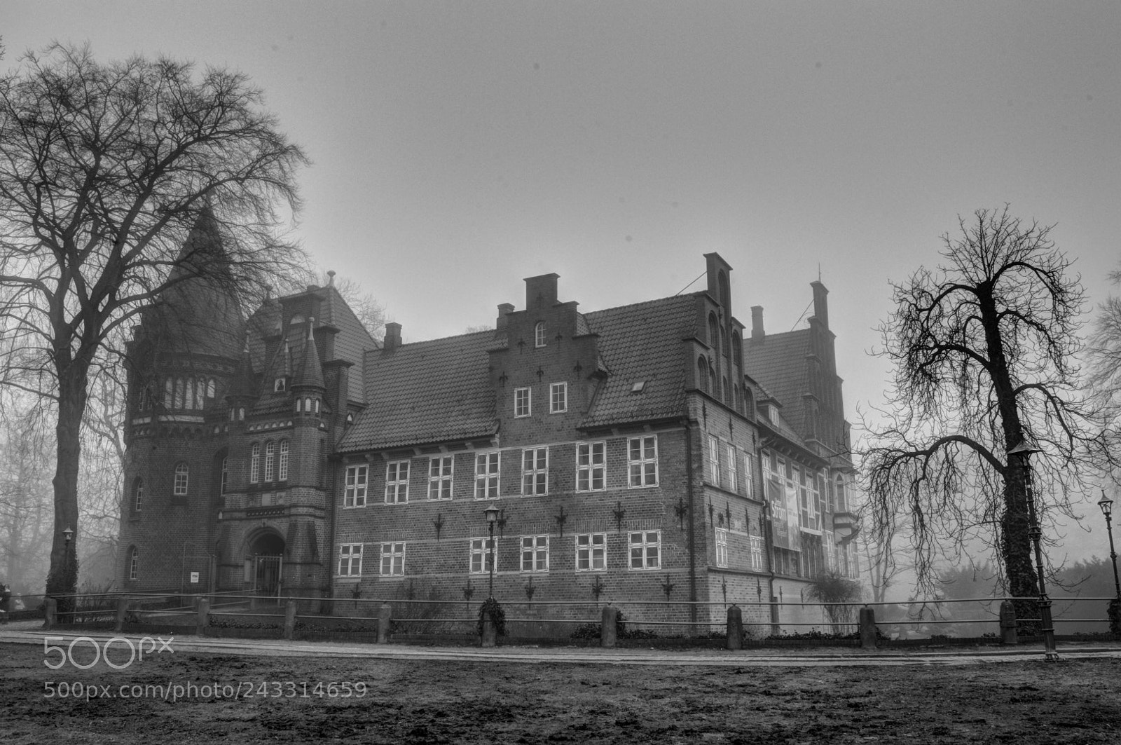 Nikon D3200 sample photo. Foggy castle photography