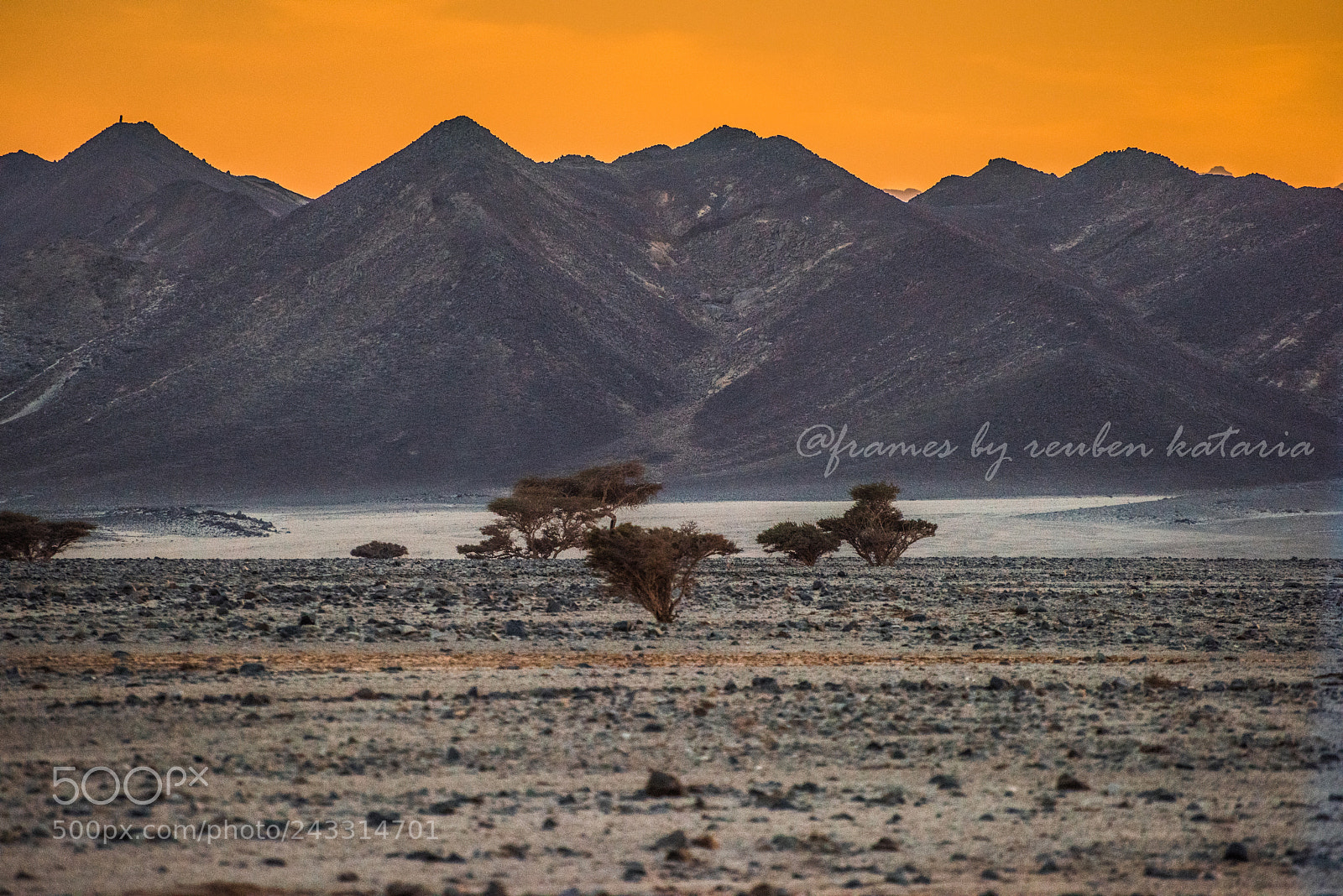 Nikon D810 sample photo. Sunset in wadi el photography