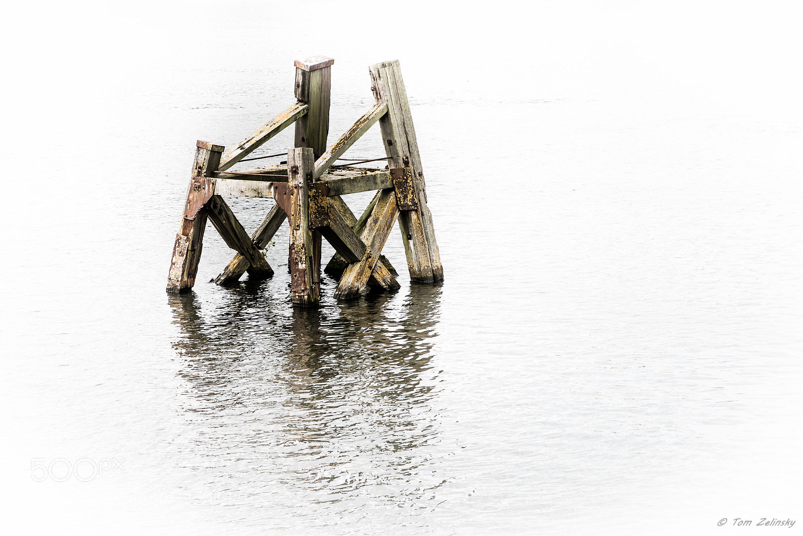 Nikon D610 sample photo. In... photography