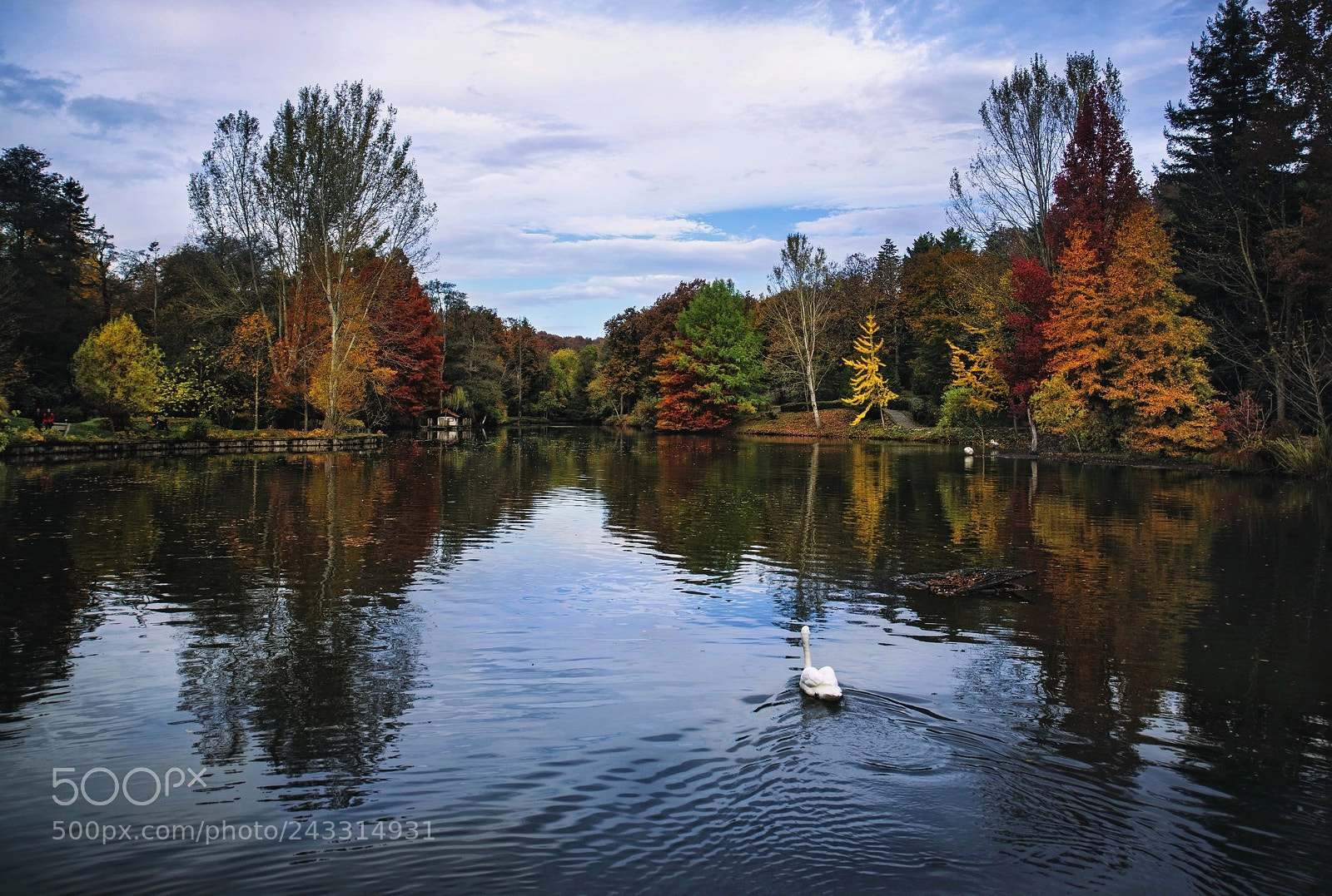 Nikon D600 sample photo. Park. photography