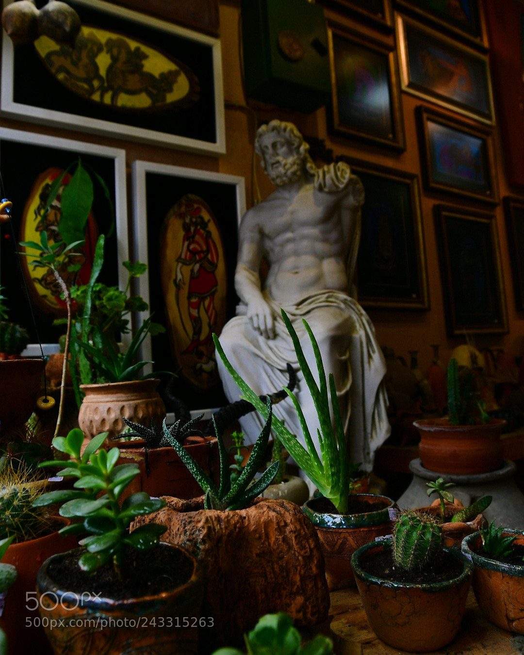 Nikon D7500 sample photo. Untitled photography