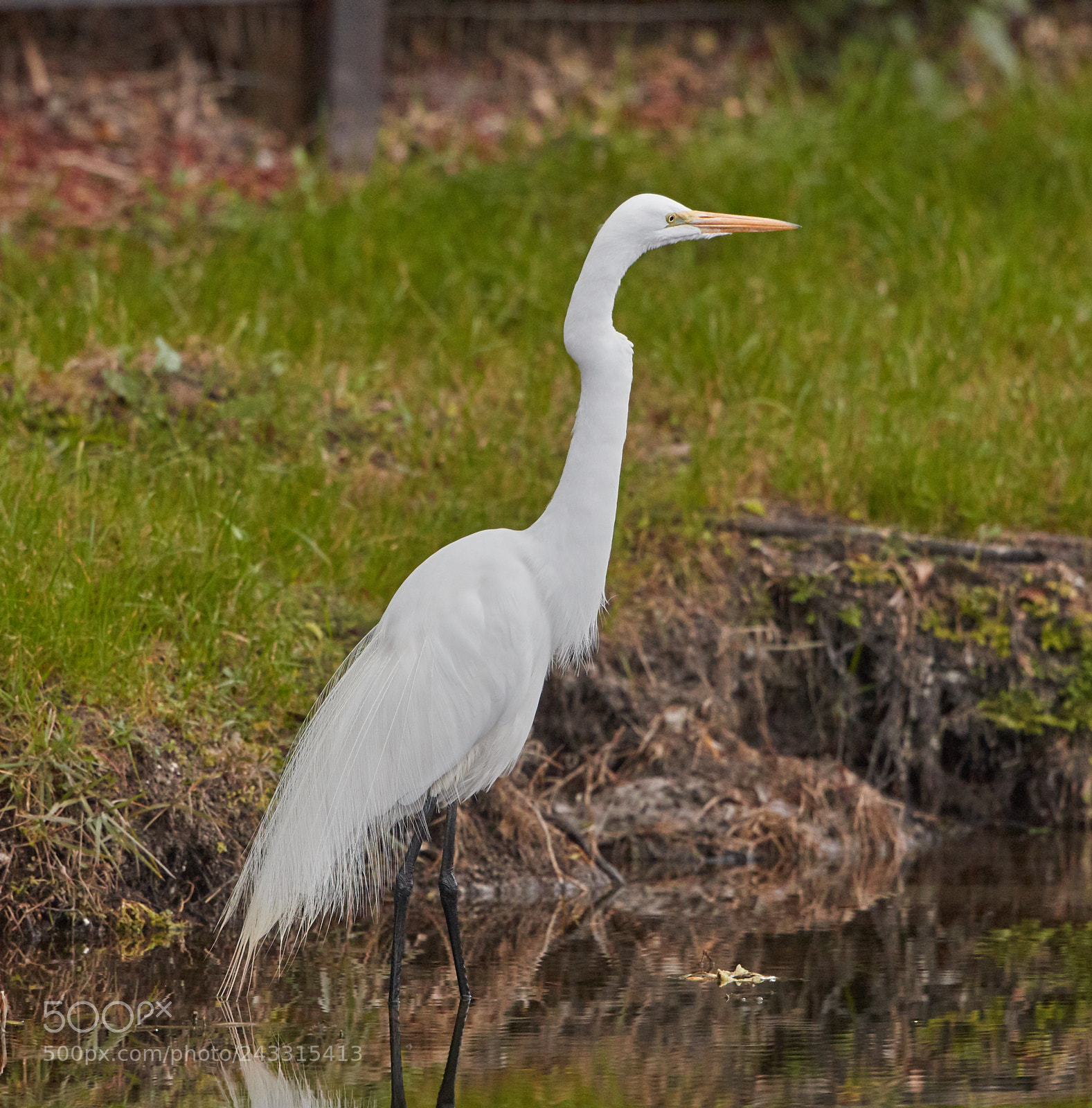 Canon EOS-1D X Mark II sample photo. 01-21-18-0000304.jpg photography
