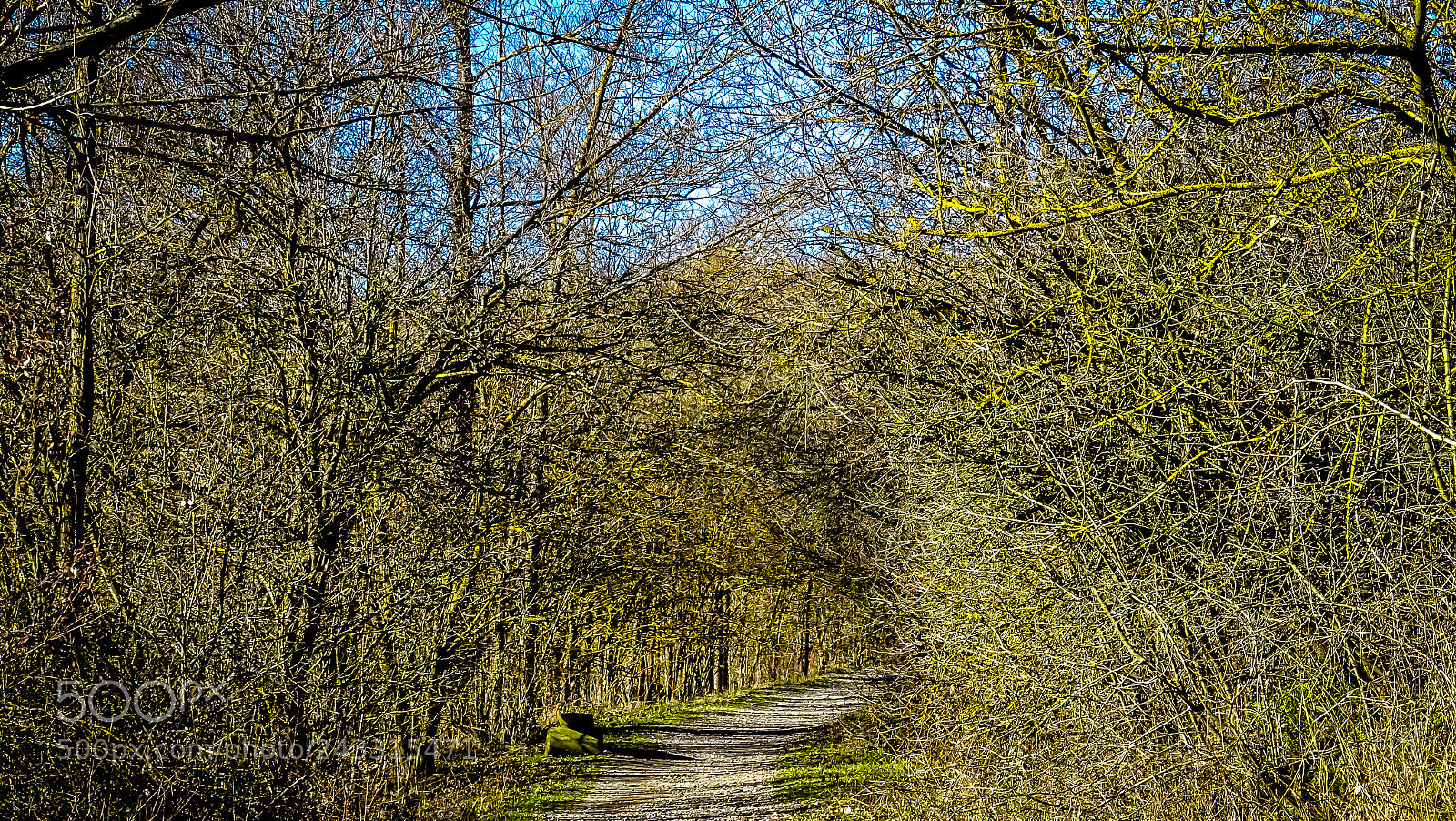 Sony DSC-HX60 sample photo. Follow the path photography