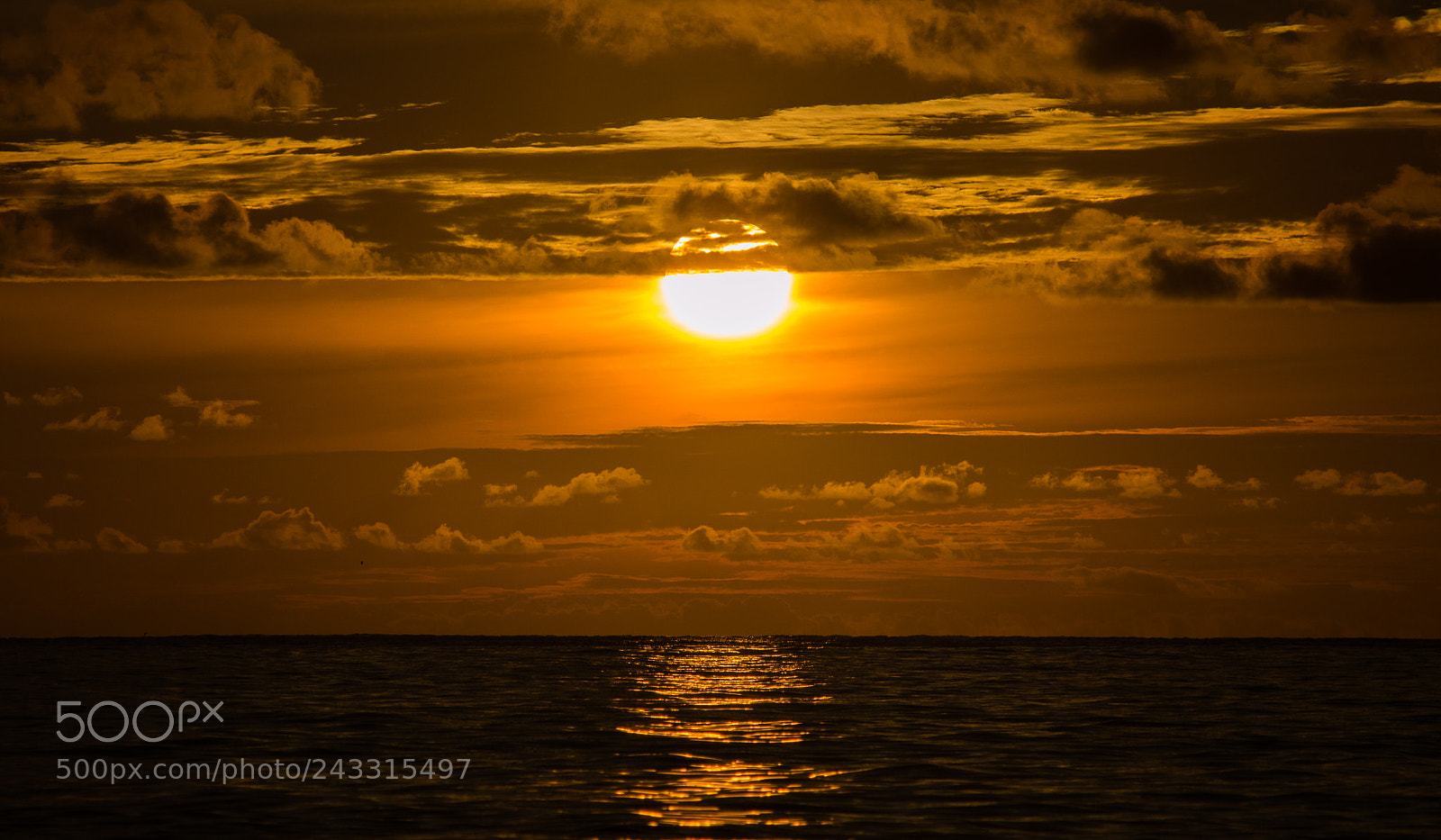 Nikon D3200 sample photo. Sun photography