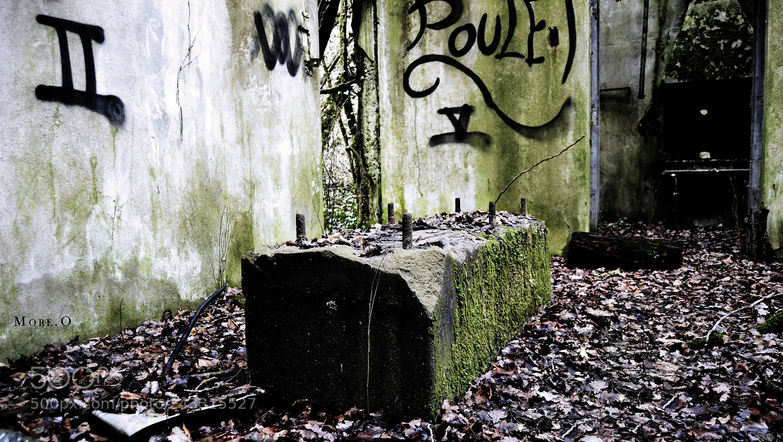 Nikon D3100 sample photo. A little apocalyptic photography