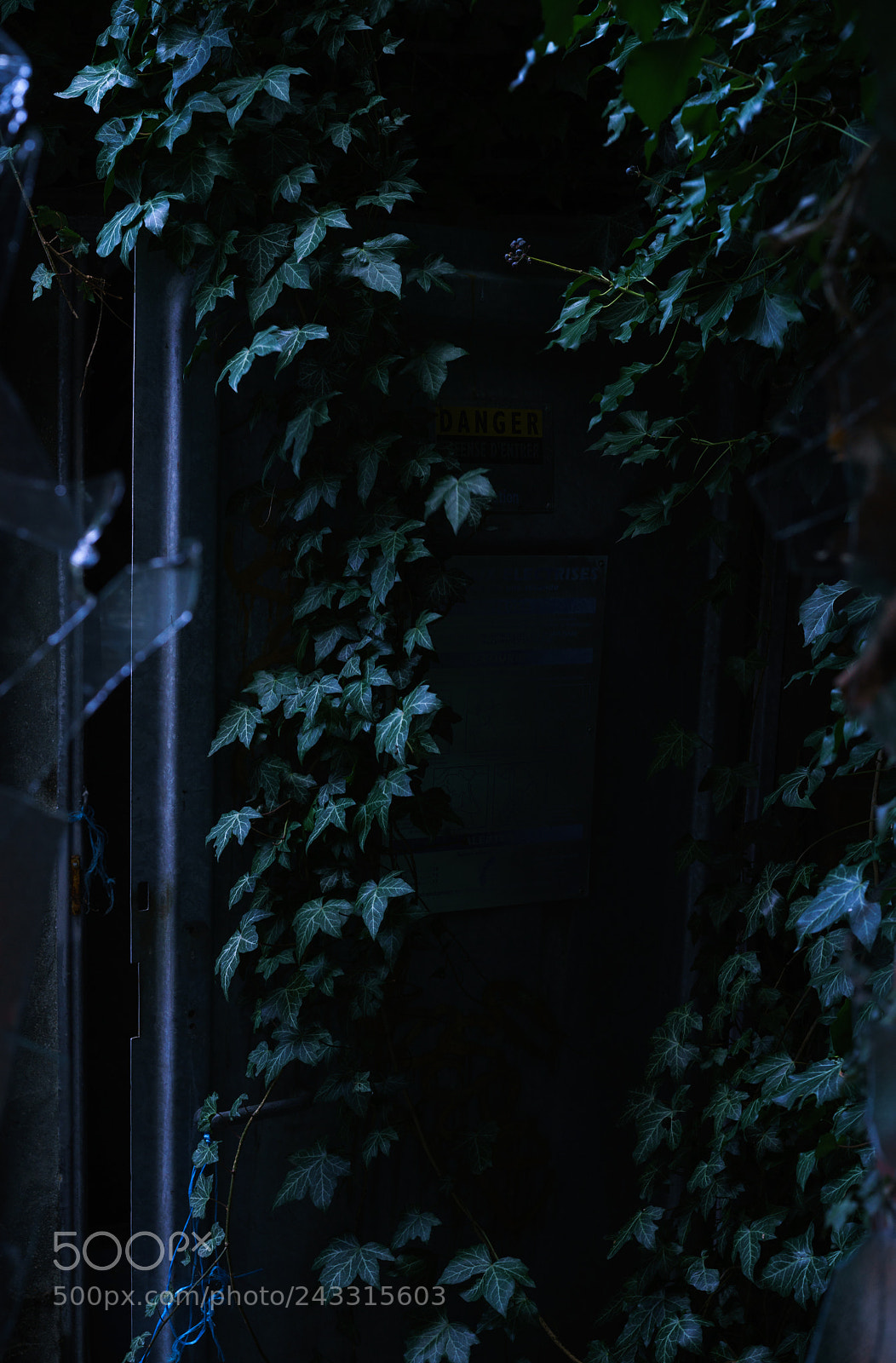 Sony a7R II sample photo. Danger photography