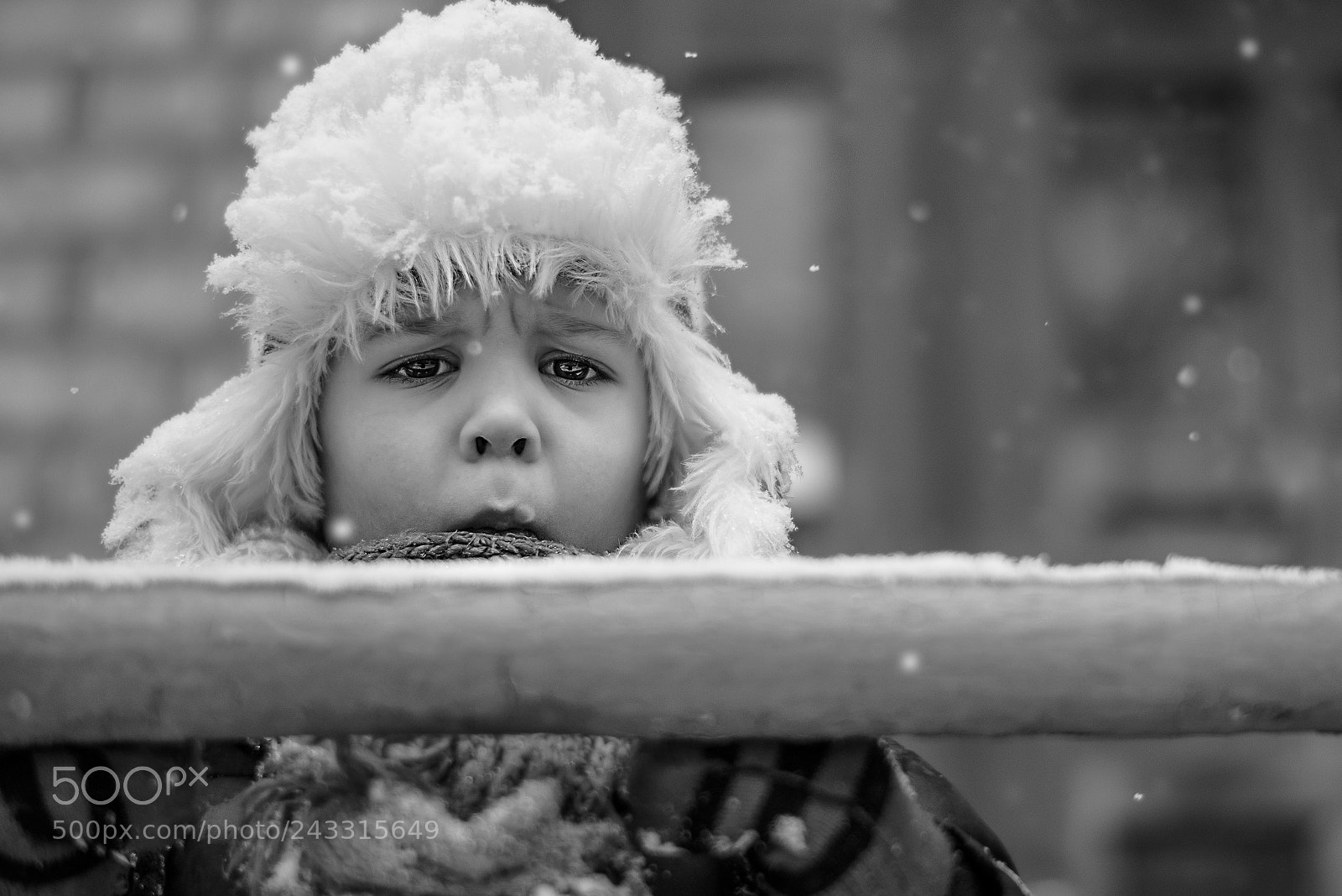 Nikon D810 sample photo. I got snowed! photography