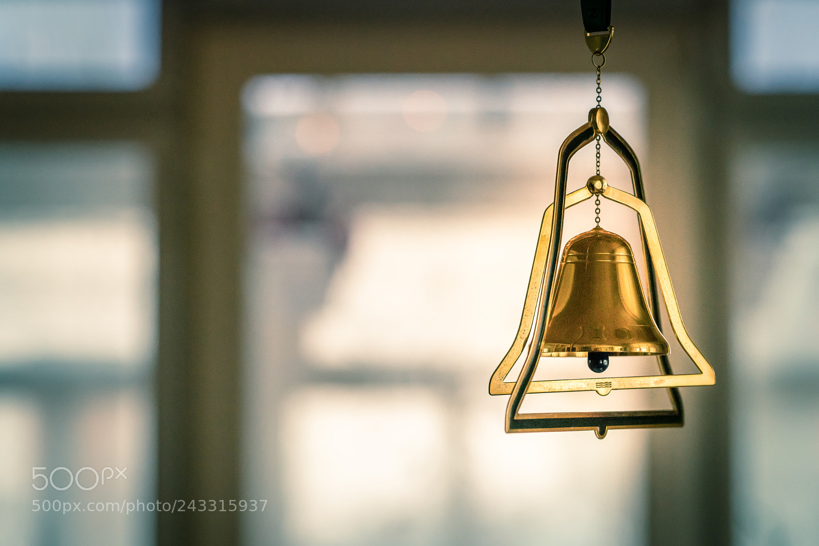 Sony a7R II sample photo. Sony 90mm macro a7rii photography