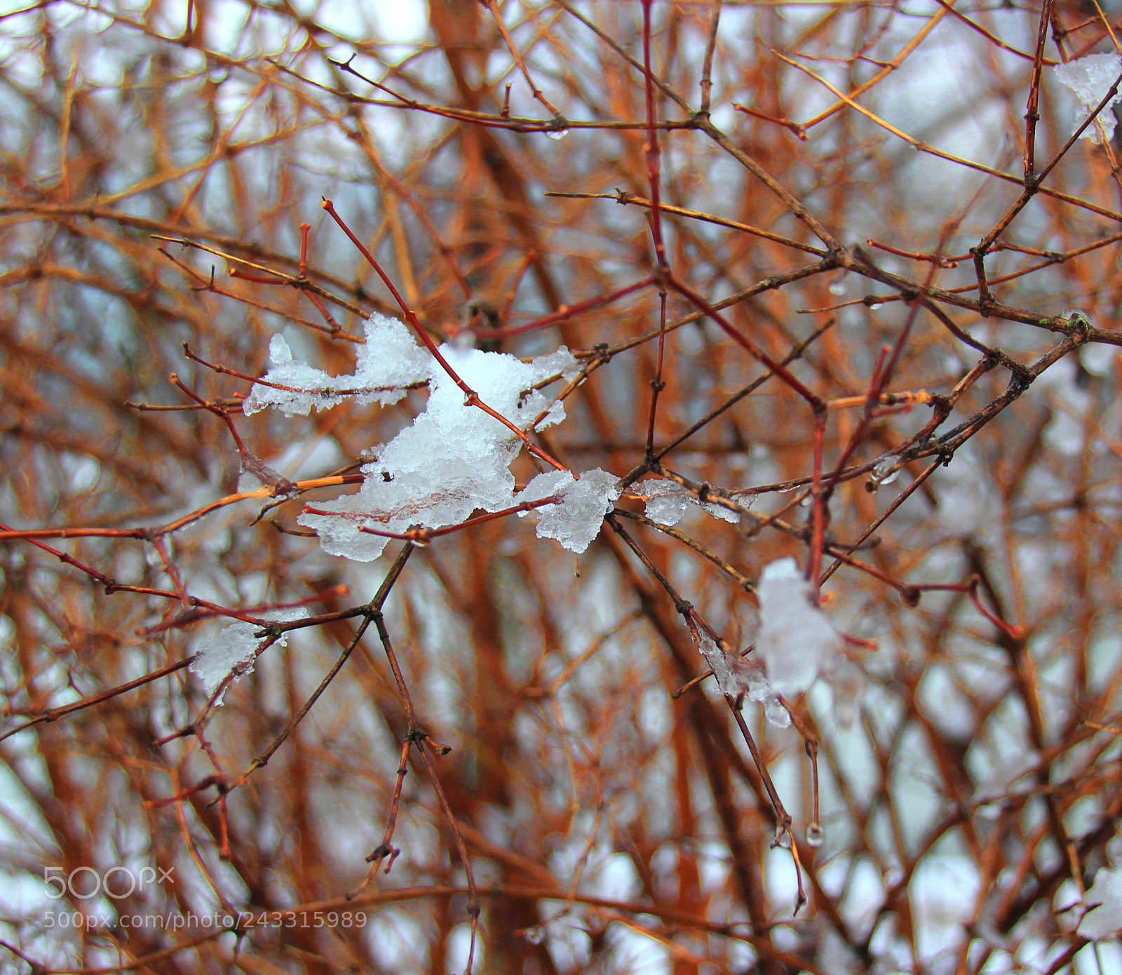 Canon EOS 1300D (EOS Rebel T6 / EOS Kiss X80) sample photo. Snow photography