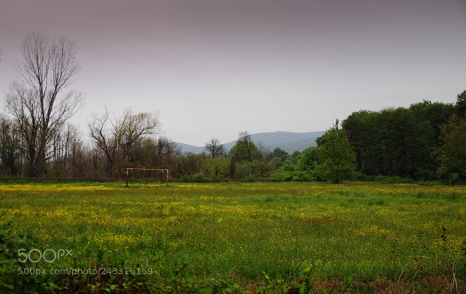 Nikon D80 sample photo. 21.jpg photography
