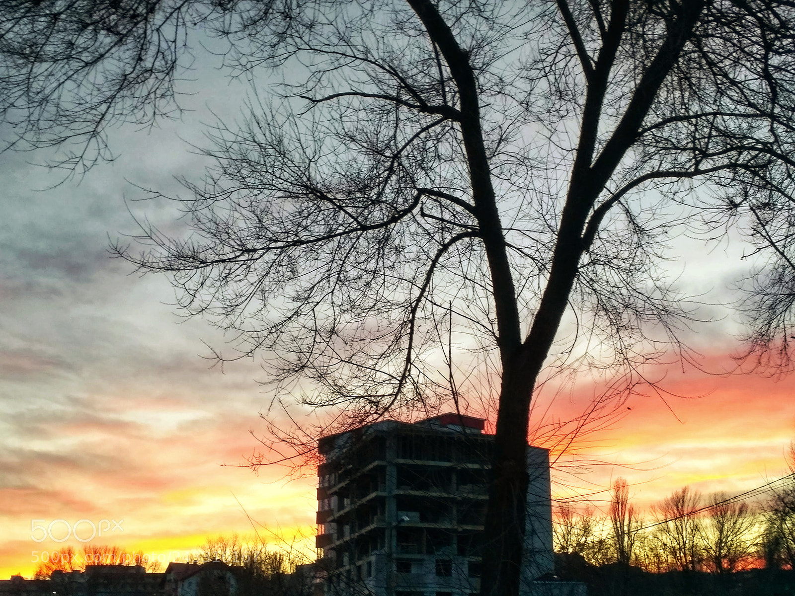 Xiaomi Redmi 3S sample photo. Golden hour photography