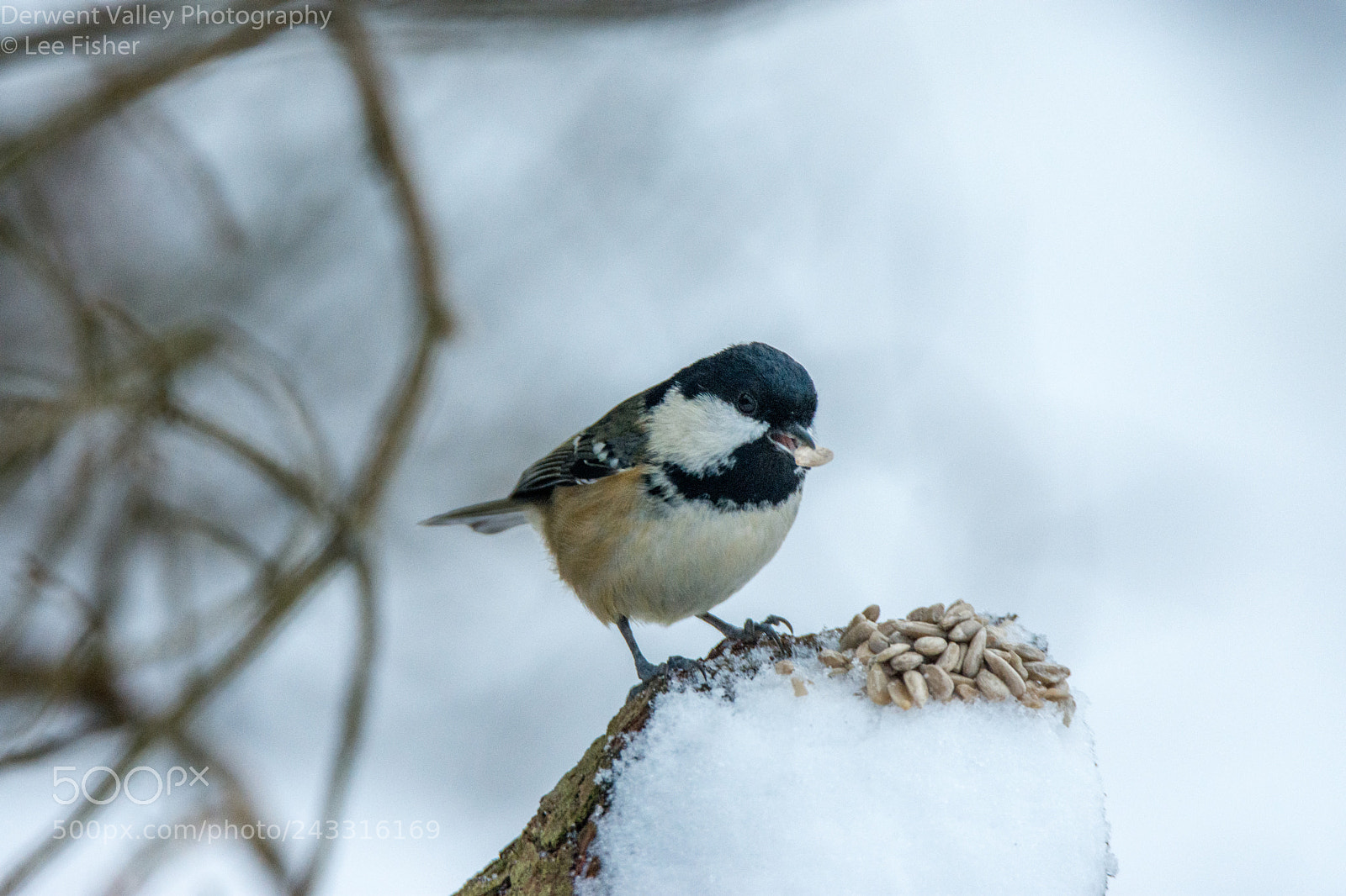 Nikon D7200 sample photo. Food for thought photography