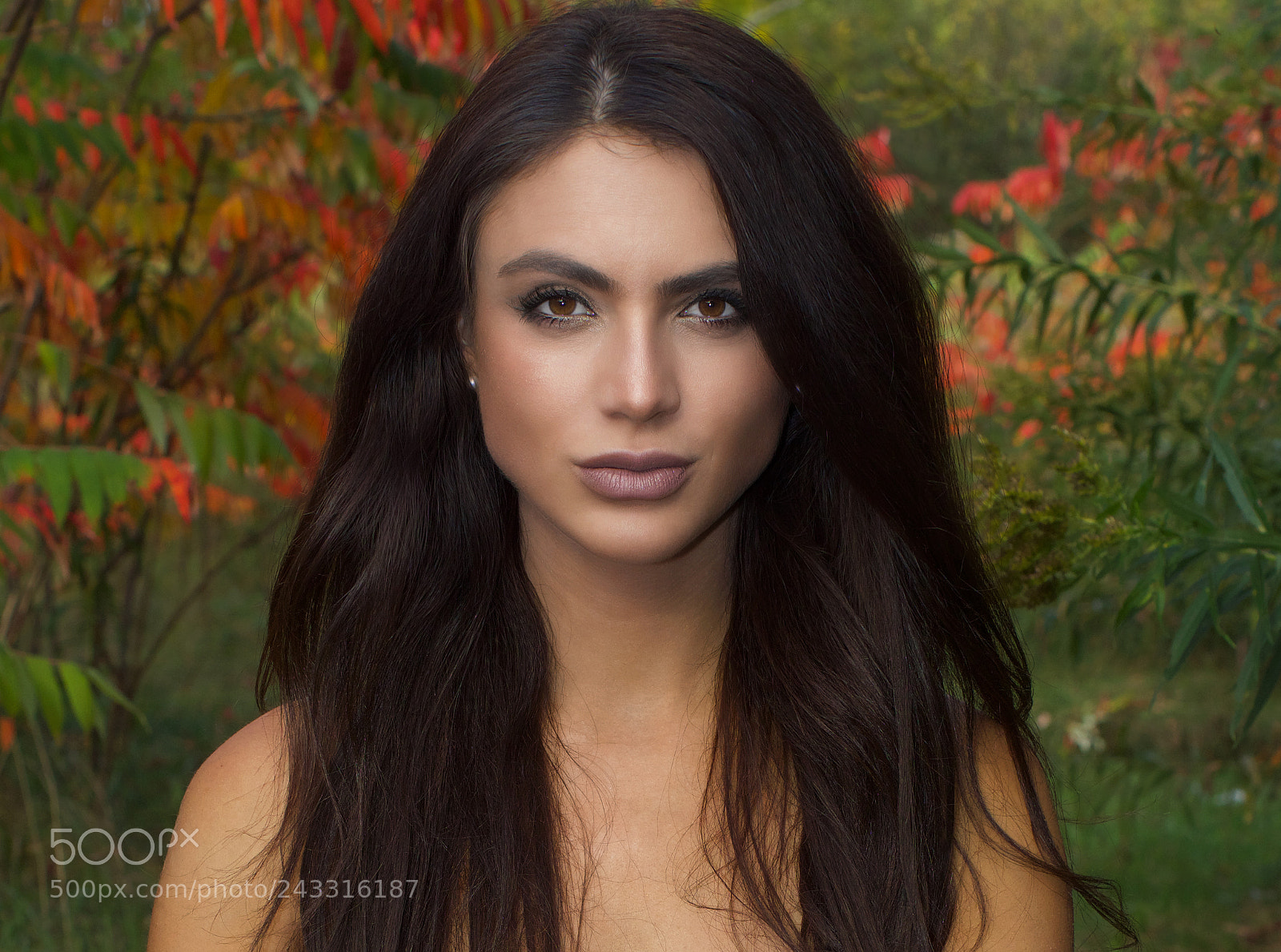 Canon EOS 5DS R sample photo. The empowered stare photography