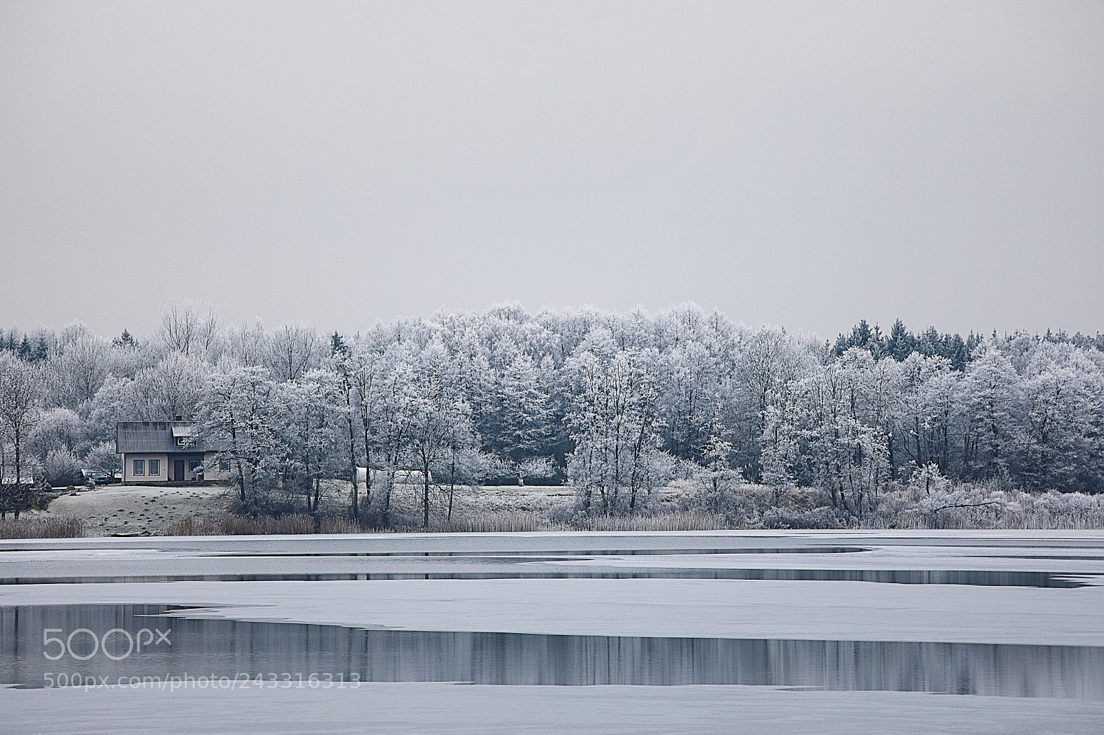 Canon EOS 5D Mark IV sample photo. Frosty landscape @ lake  galvė photography