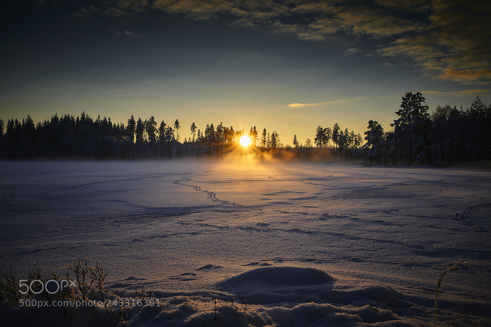 Nikon D800E sample photo. Last light of this photography
