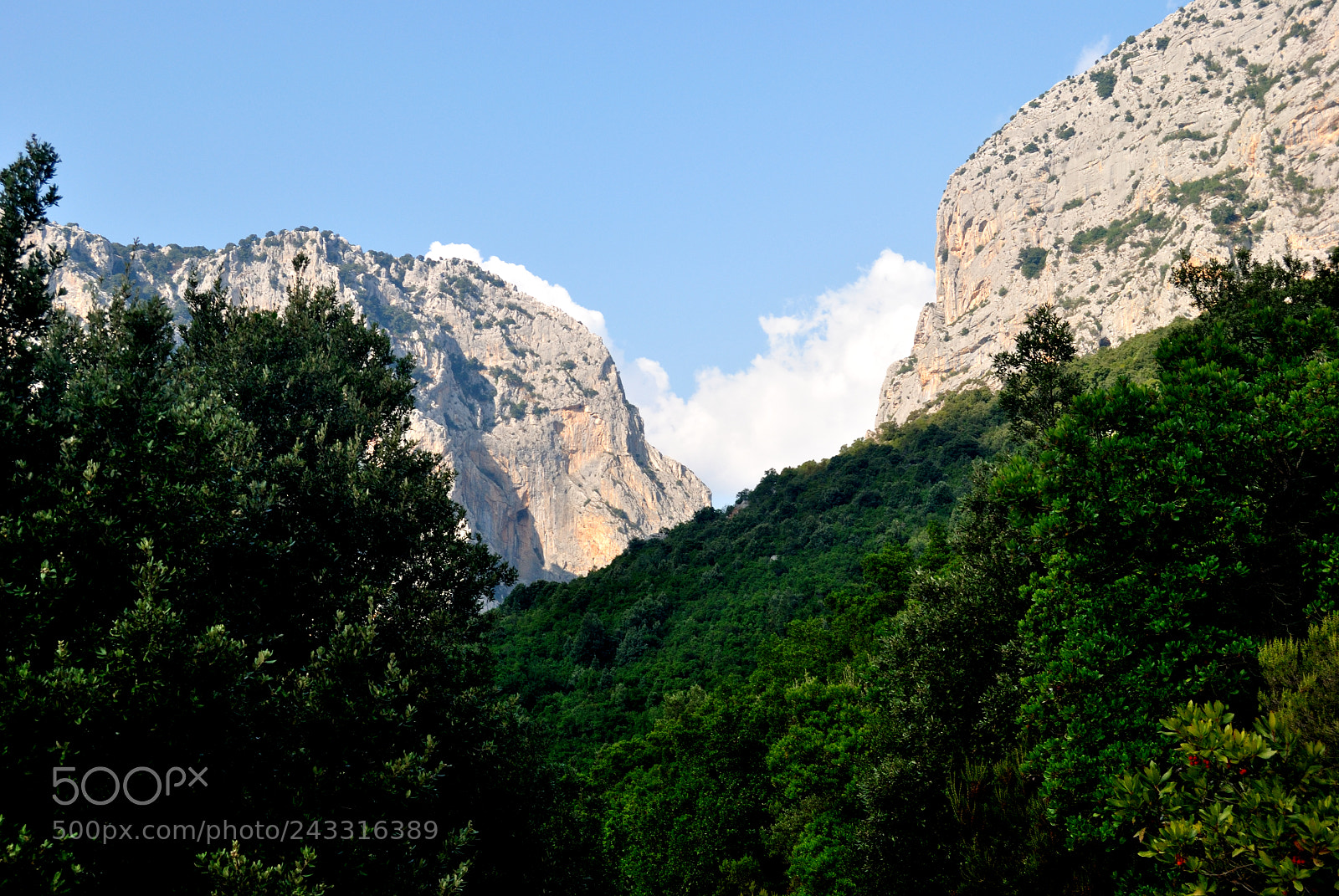 Nikon D3000 sample photo. Punta cucuttos a sinistra photography