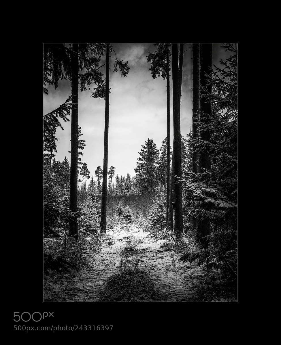 Sony Alpha NEX-6 sample photo. Blick nach draussen photography