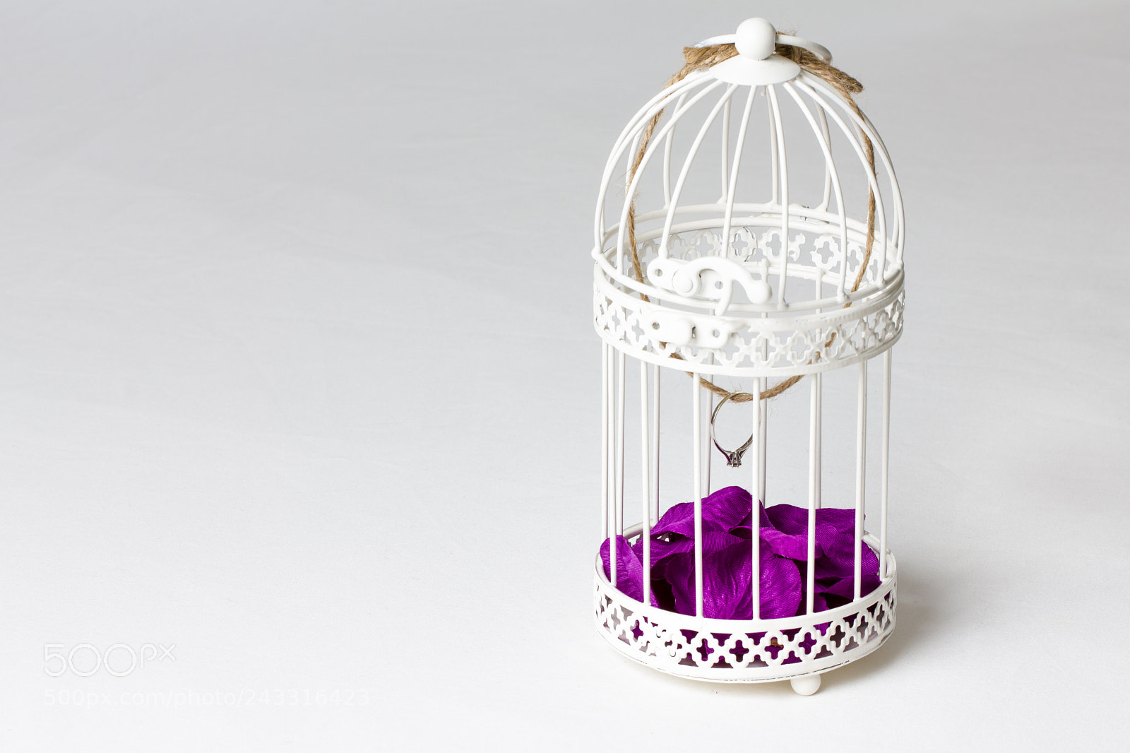 Canon EOS 550D (EOS Rebel T2i / EOS Kiss X4) sample photo. Ring cage photography