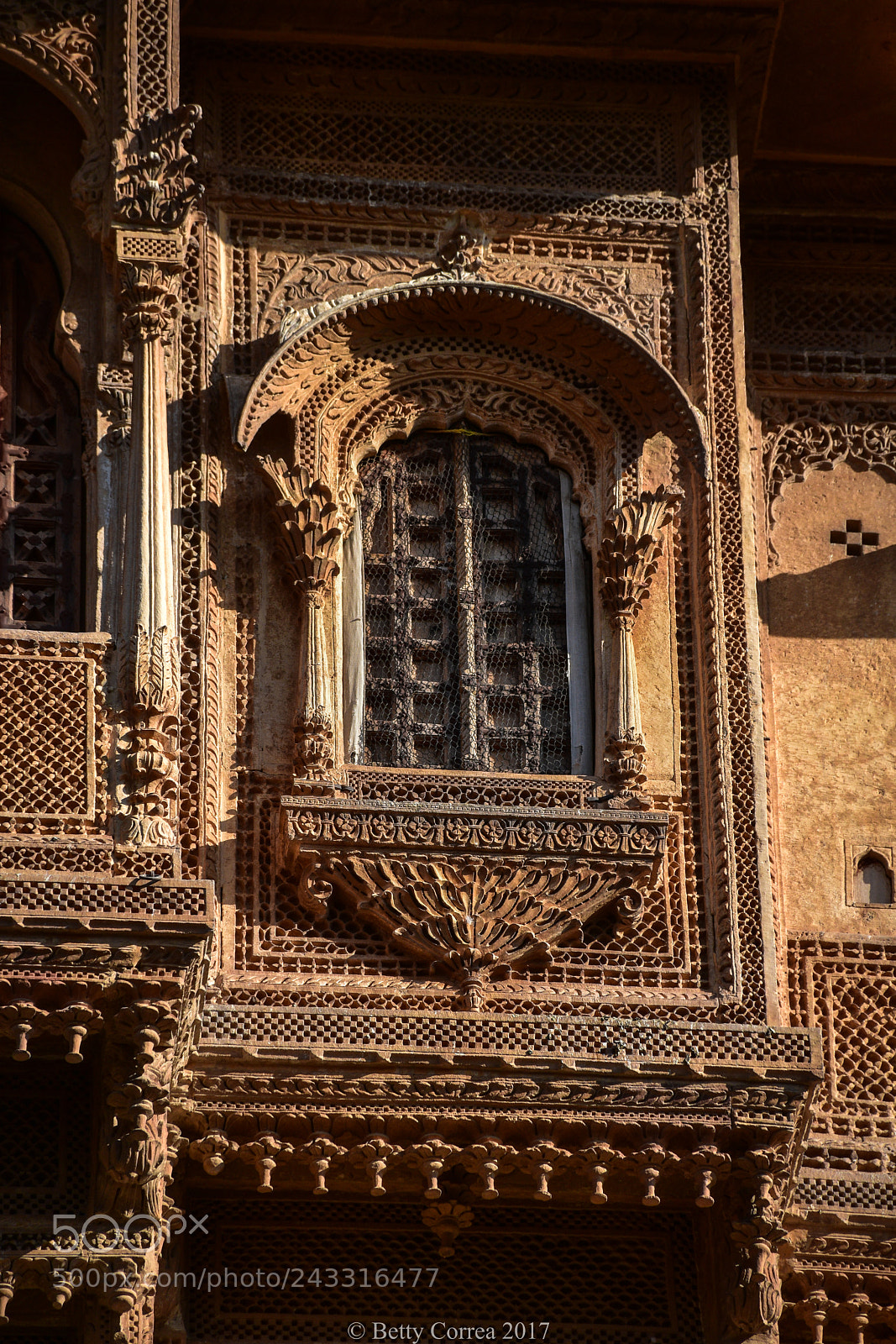 Nikon D5600 sample photo. Beautiful haveli window photography