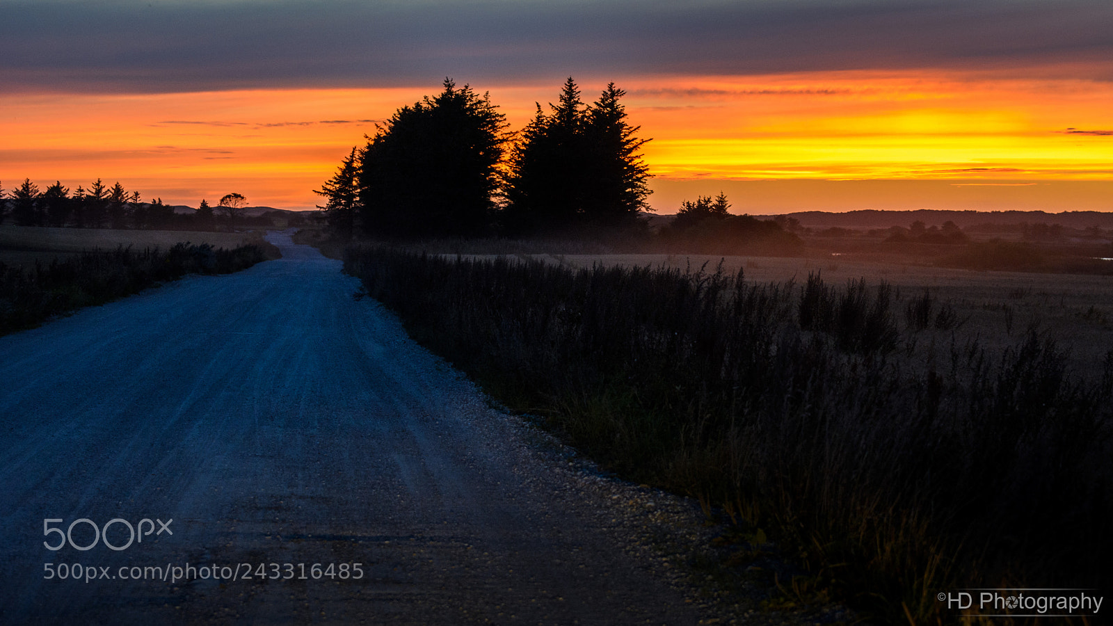 Nikon D7100 sample photo. Sunset road photography