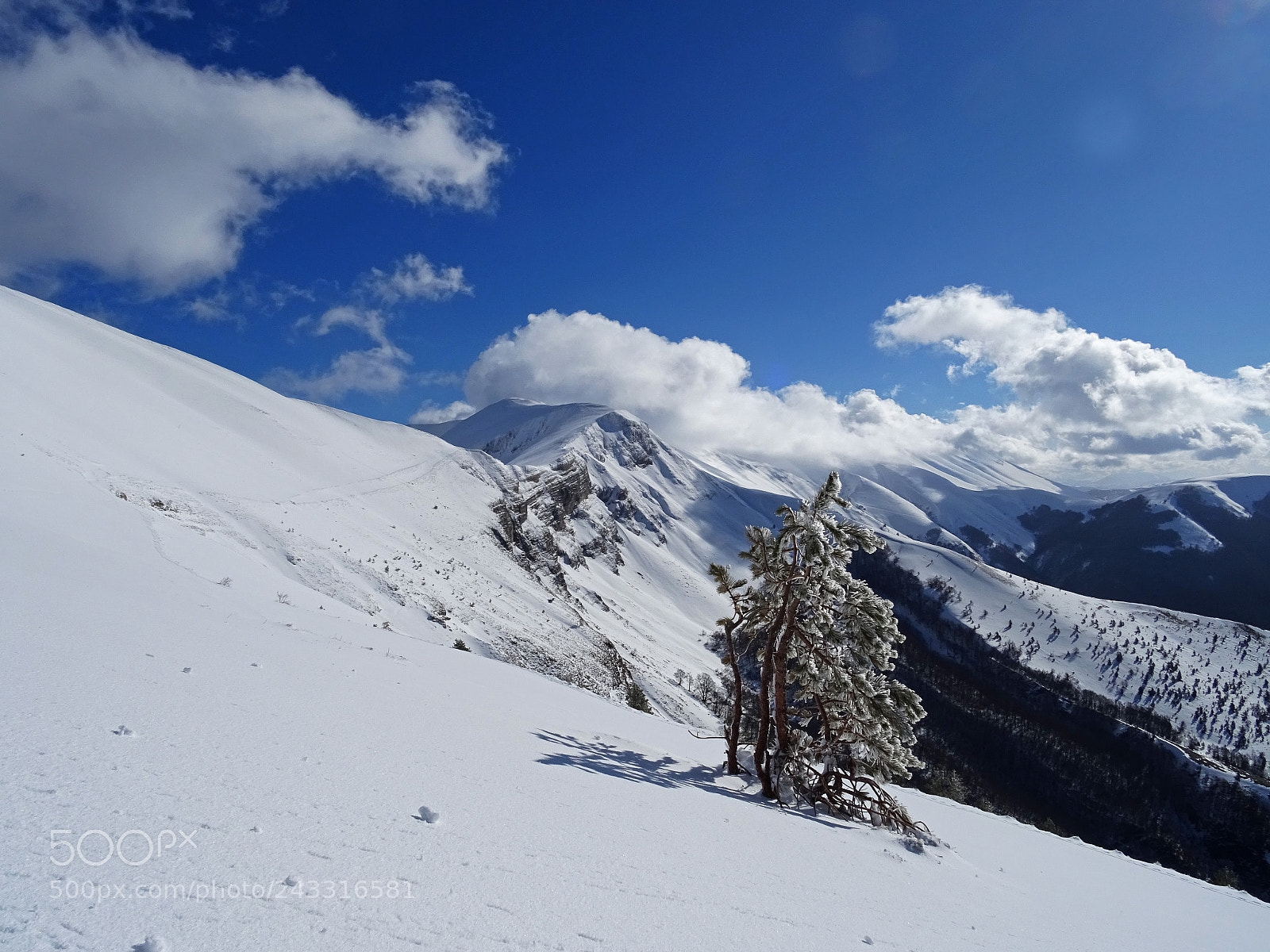 Sony DSC-HX60 sample photo. Frontignano fantasma - jan 2018 photography