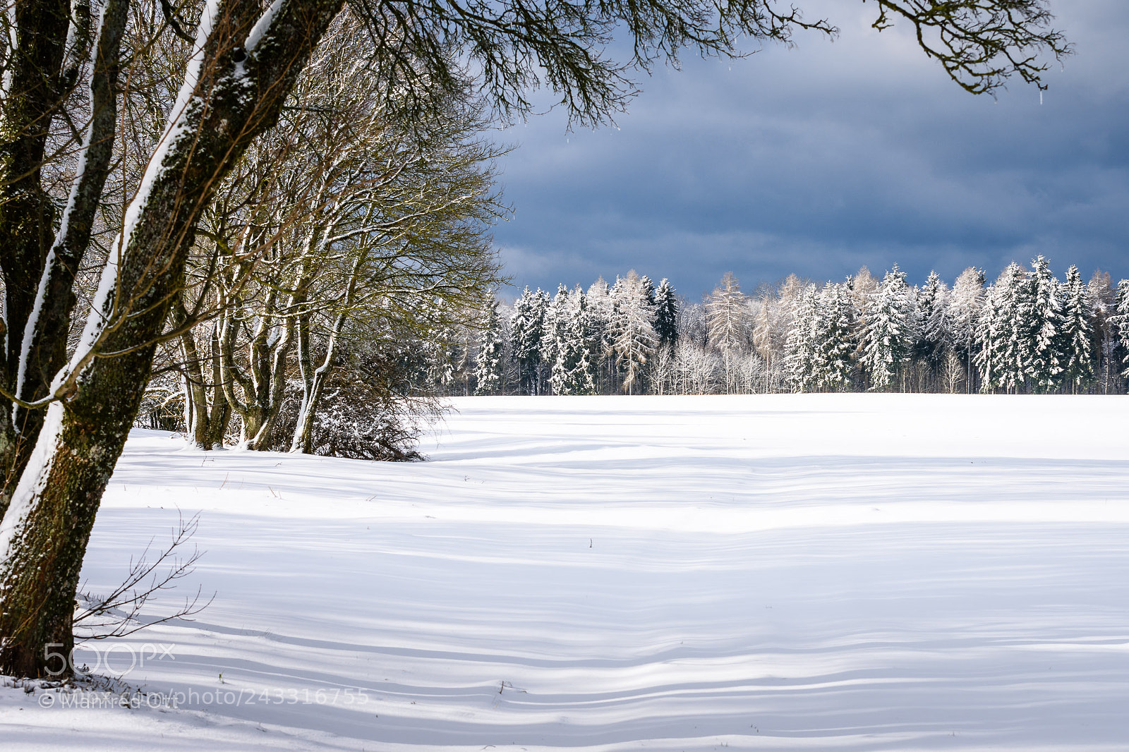 Nikon D7200 sample photo. Winter wonderland photography