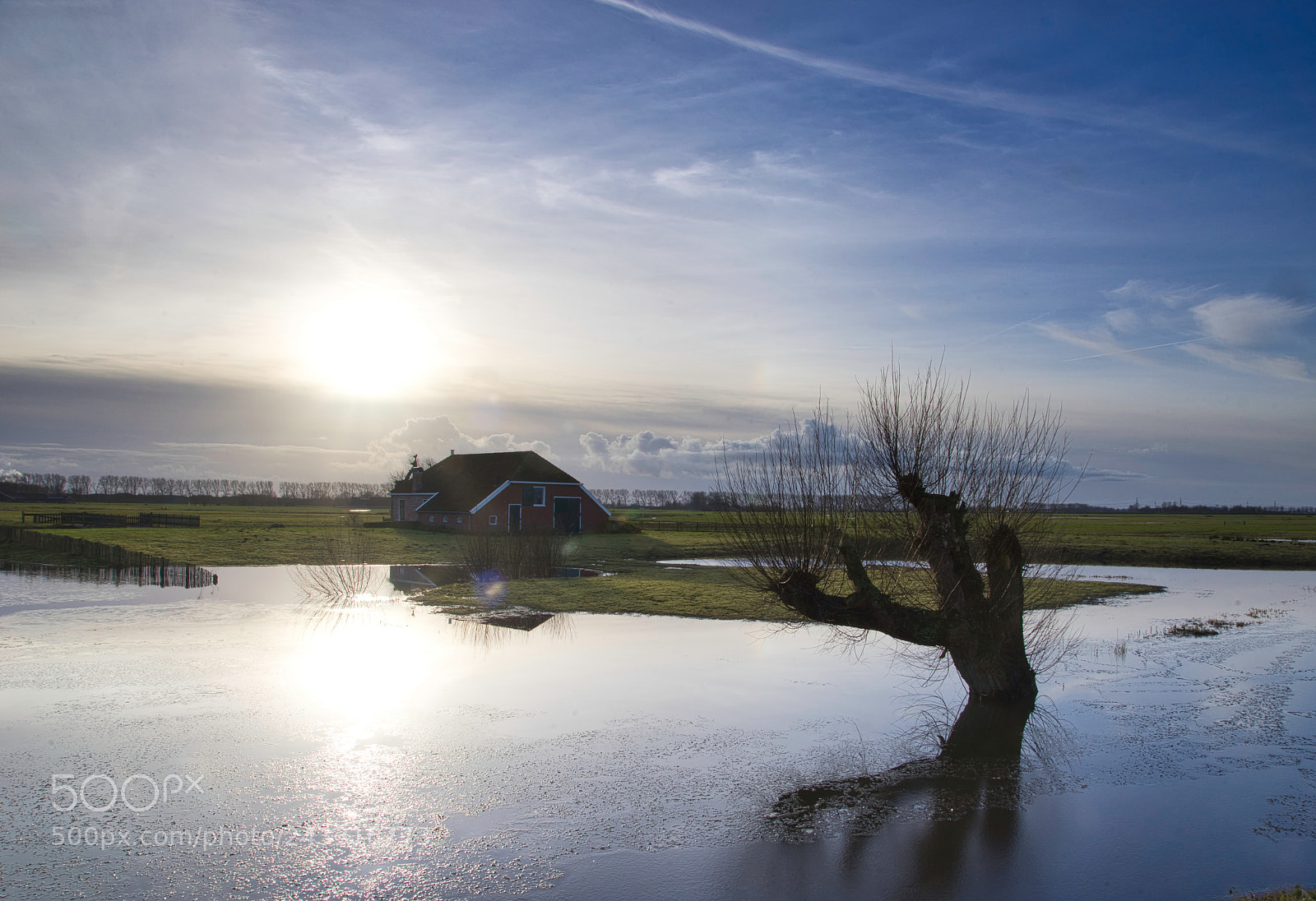 Sony a7 sample photo. Harssensbosch photography