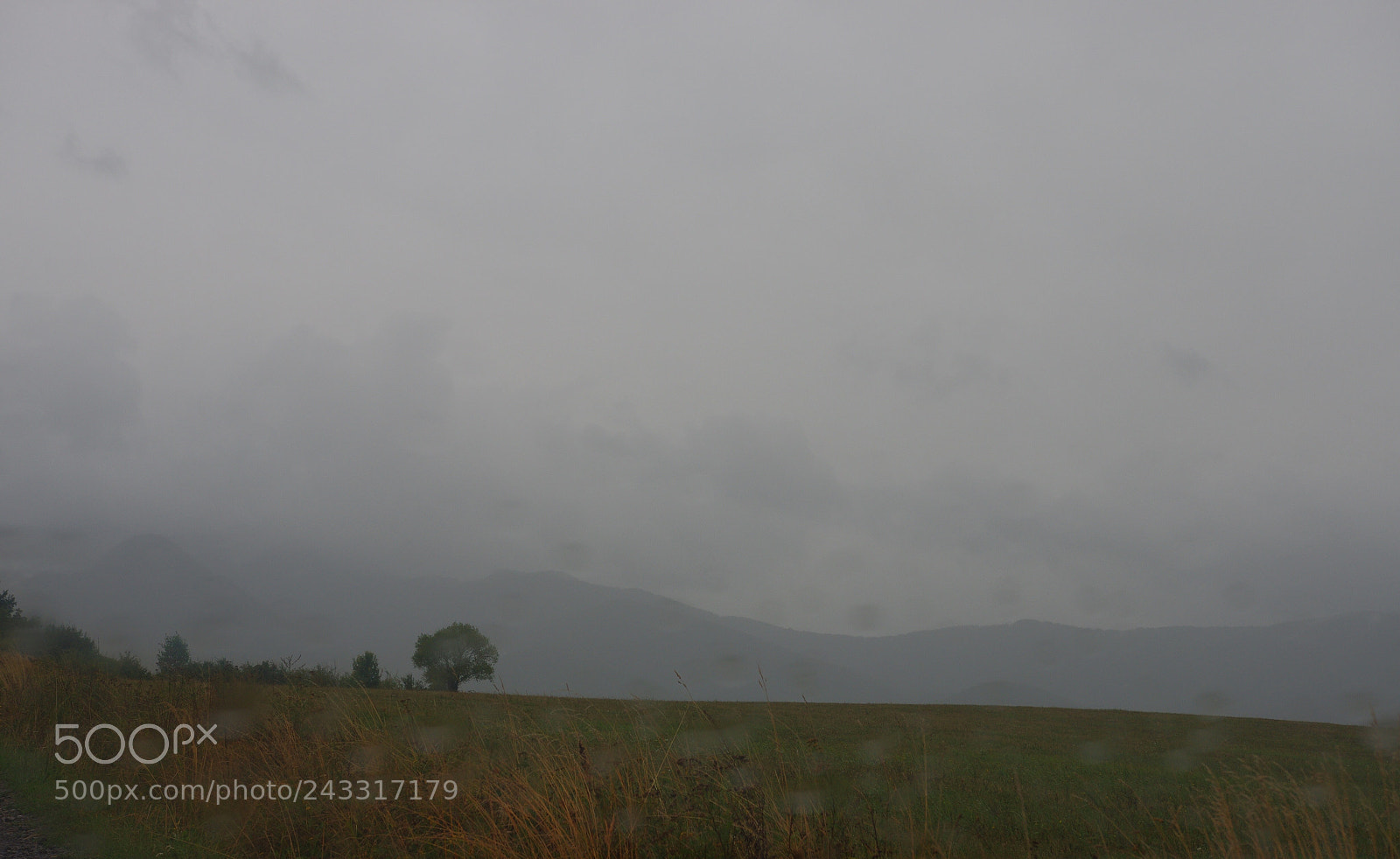 Pentax K-5 IIs sample photo. Untitled photography