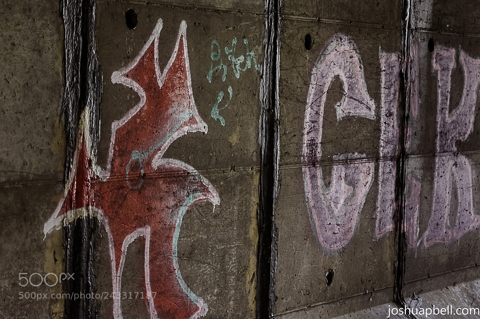 Nikon D3400 sample photo. Graffiti i found on photography