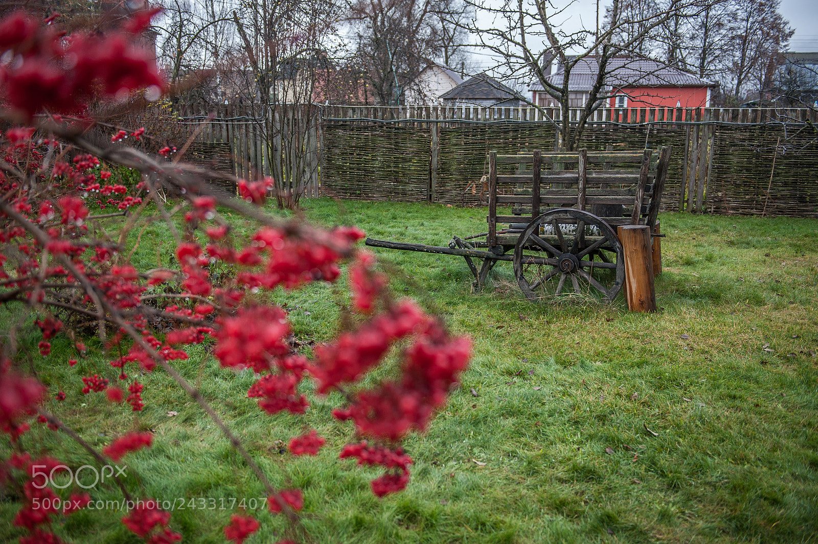 Nikon D700 sample photo. Pushcart photography